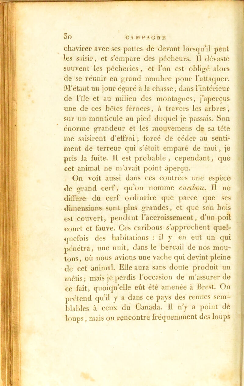 chavirer avec ses pâlies de devant lorsqu’il peut les saisir, et s’empare des pêcheurs. 11 dévaste souvent les pêcheries, et l’on est obligé alors de se réunir en grand nombre pour l’attaquer. M’étant un jour égaré à la chasse, dans l’intérieur de 1 île et au milieu des montagnes, j’aperçus une de ces bêles féroces, à travers les arbres, sur un monticule au pied duquel je passais. Son énorme grandeur et les mouvemeris de sa tête me saisirent d’effroi ; forcé de céder au senti- ment de terreur qui s’étoit emparé de moi, je pris la fuite. Il est probable, cependant, que cet animal ne m’avait point aperçu. On voit aussi dans ces contrées une espèce de grand cerf, qu’on nomme caribou. Il ne différé du cerf ordinaire que parce que ses dimensions sont plus grandes, et que son bois est couvert, pendant l’accroissement, d’un poil court et fauve. Ces caribous s’approchent quel- quefois des habitations : il y en eut un qui pénétra, une nuit, dans le bercail de nos mou- tons, où nous avions une vache qui devint pleine de cet animal. Elle aura sans doule produit un métis; mais je perdis l’occasion de m’assurer de ce fait, quoiqu’elle eût été amenée à Brest. On prétend qu’il y a dans ce pays des rennes sem- blables à ceux du Canada. Il n’y a point de loups, mais on rencontre fréquemment des loups