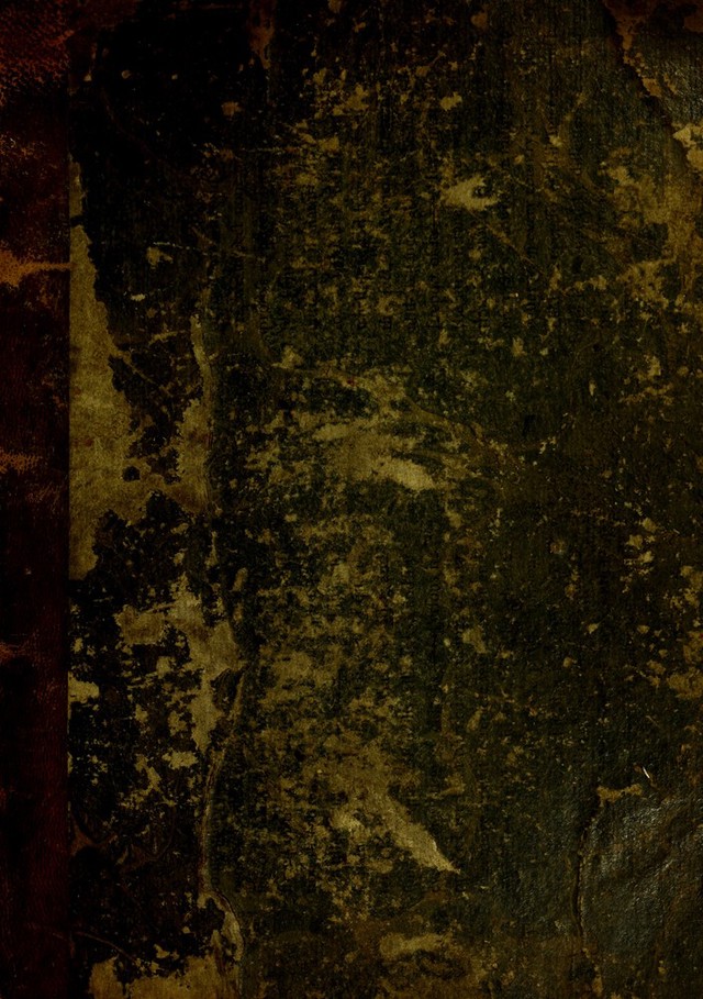 digitised image 1