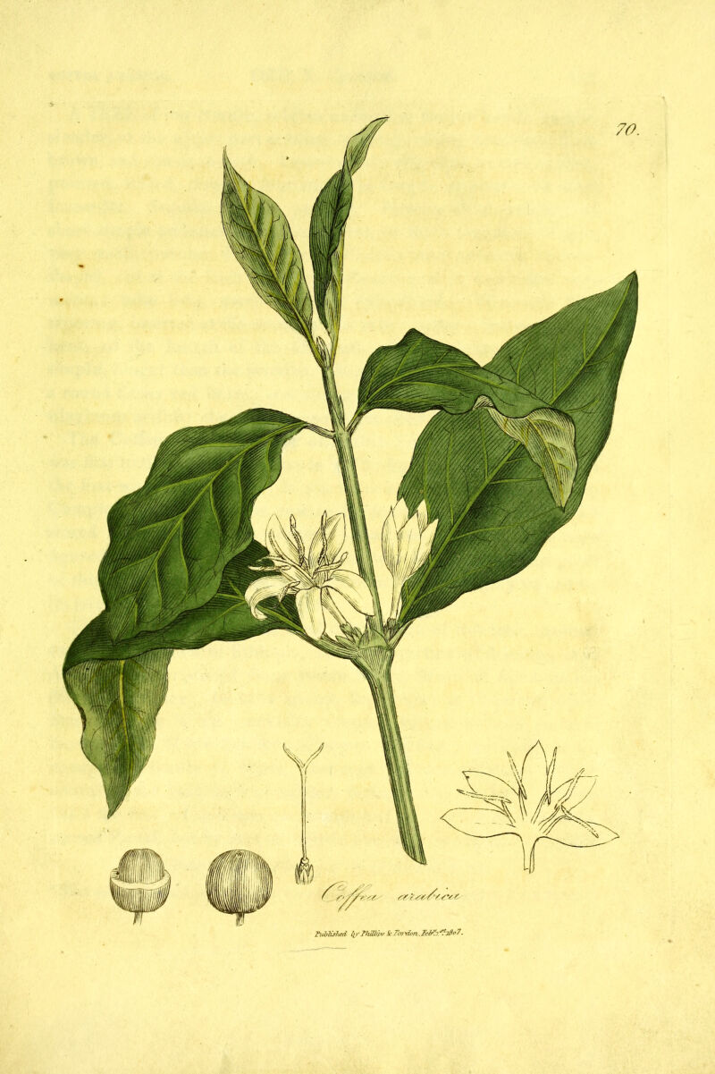 70. FublCslted tivThmh'^Scrm-donJeb^:i'^T3o7.