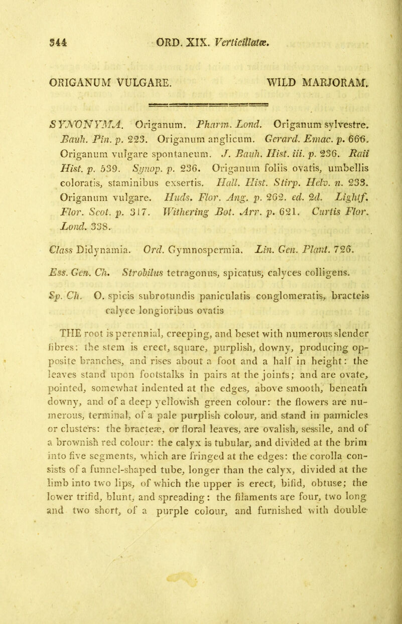 ORIGANUM VULGARE. WILD MARJORAM, SYNONYM A. Origanum. Pharm. Lond. Origanum sylvestre. Bauh. Pin. p. 223. Origanum anglicum. Gerard. Emac. p. 66-6, Origanum vulgare spontaneum. J. Bank. Hist. iii. p. 236. Rail Hist. p. 539. Synop. p. 236. Origanum foliis ovatis, umbellis coloratis, staminibus exsertis. Hall. Stirp. Helv. n. 233. Origanum vulgare. Huds. Flor. Ang, p. 262. rcZ. 2c/. Light/, Flor. Scot. p. 317. Withering Bot. Arr. p. 621. Curtis Flor, Lond, 338.- G/ass Didynamia. Or<7. Gymnospermia. Lin. Gen. Plant. 726. JEss. Gm. C/r. Strohilus tetragon us, spicatus, calyces colligens. Sp. G/?. O. spicis subrotundis paniculatis conglomeratis, bracteb calyee longioribus ovatis THE root is perennial, creeping, and beset with numerous slender iibres: the stem is erect, square, purplish, downy, producing op- posite branches, and rises about a foot and a half in height: the leaves stand upon footstalks in pairs at the joints; and are ovate* pointed, somewhat indented at the edges, above smooth, beneath downy, and of a deep yellowish green colour r the flowers are nu- merous, terminal, of a pale purplish colour, and stand in pannicles or clusters: the bractem, or floral leaves, are ovalish, sessile, and of a brownish red colour: the calyx is tubular, and divided at the brim into five segments, which are fringed at the edges: the corolla con- sists of a funnel-shaped tube, longer than the calyx, divided at the limb into twTo lips, of which the upper is erect, bifid, obtuse; the lower trifid, blunt, and spreading: the filaments are four, two long and two short, of a purple colour, and furnished with double