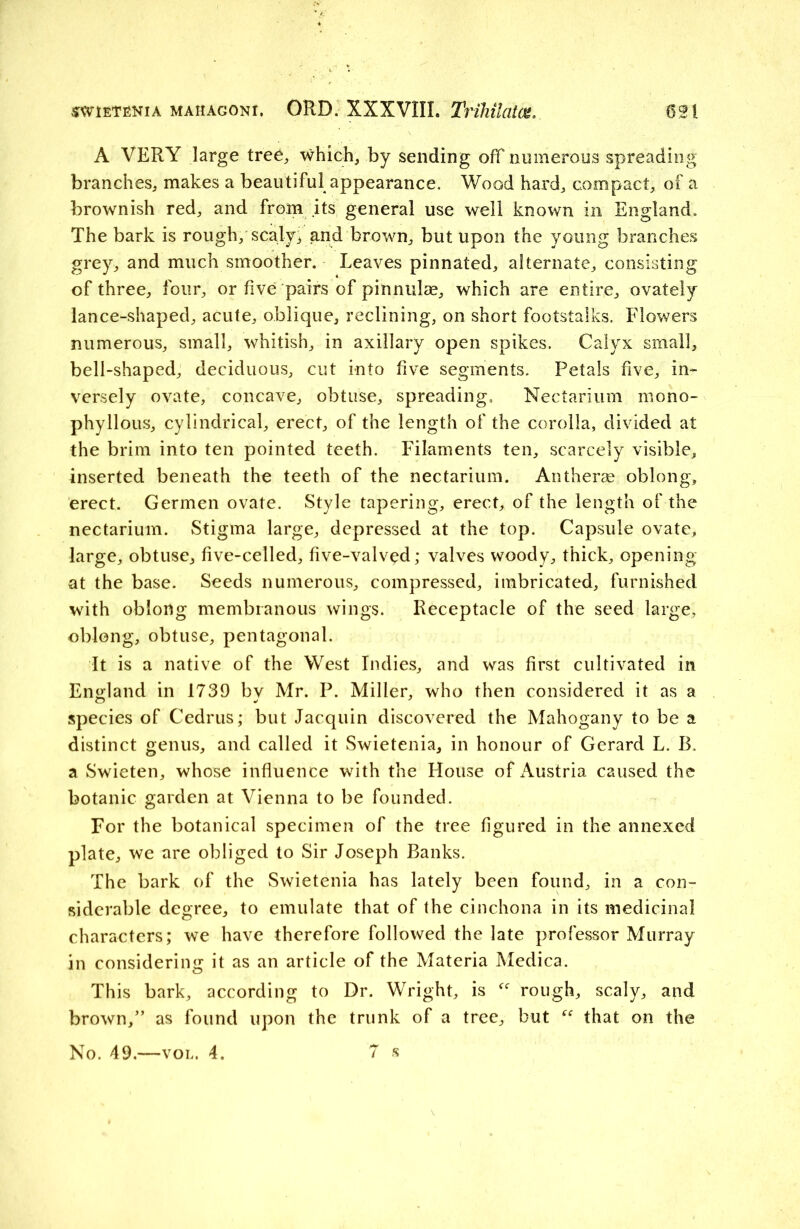 A VERY large tree, which, by sending off numerous spreading branches, makes a beautiful appearance. Wood hard, compact, of a brownish red, and from its general use well known in England, The bark is rough,scaly,;and brown, but upon the young branches grey, and much smoother. Leaves pinnated, alternate, consisting of three, four, or five pairs of pinnulse, which are entire, ovately lance-shaped, acute, oblique, reclining, on short footstalks. Flowers numerous, small, whitish, in axillary open spikes. Calyx small, bell-shaped, deciduous, cut into five segments. Petals five, in- versely ovate, concave, obtuse, spreading. Nectarium mono- phyllous, cylindrical, erect, of the length of the corolla, divided at the brim into ten pointed teeth. Filaments ten, scarcely visible, inserted beneath the teeth of the nectarium. Antherse oblong, erect. Germen ovate. Style tapering, erect, of the length of the nectarium. Stigma large, depressed at the top. Capsule ovate, large, obtuse, five-celled, five-valved; valves woody, thick, opening at the base. Seeds numerous, compressed, imbricated, furnished with oblong membranous wings. Receptacle of the seed large, oblong, obtuse, pentagonal. It is a native of the West Indies, and was first cultivated in England in 1739 bv Mr. P. Miller, who then considered it as a species of Cedrus; but Jacquin discovered the Mahogany to be a distinct genus, and called it Swietenia, in honour of Gerard L. B. a Swieten, whose influence with the House of Austria caused the botanic garden at Vienna to be founded. For the botanical specimen of the tree figured in the annexed plate, we are obliged to Sir Joseph Banks. The bark of the Swietenia has lately been found, in a con- siderable degree, to emulate that of the cinchona in its medicinal characters; we have therefore followed the late professor Murray in considering it as an article of the Materia Medica. This bark, according to Dr. Wright, is rough, scaly, and brown/’ as found upon the trunk of a tree, but {e that on the