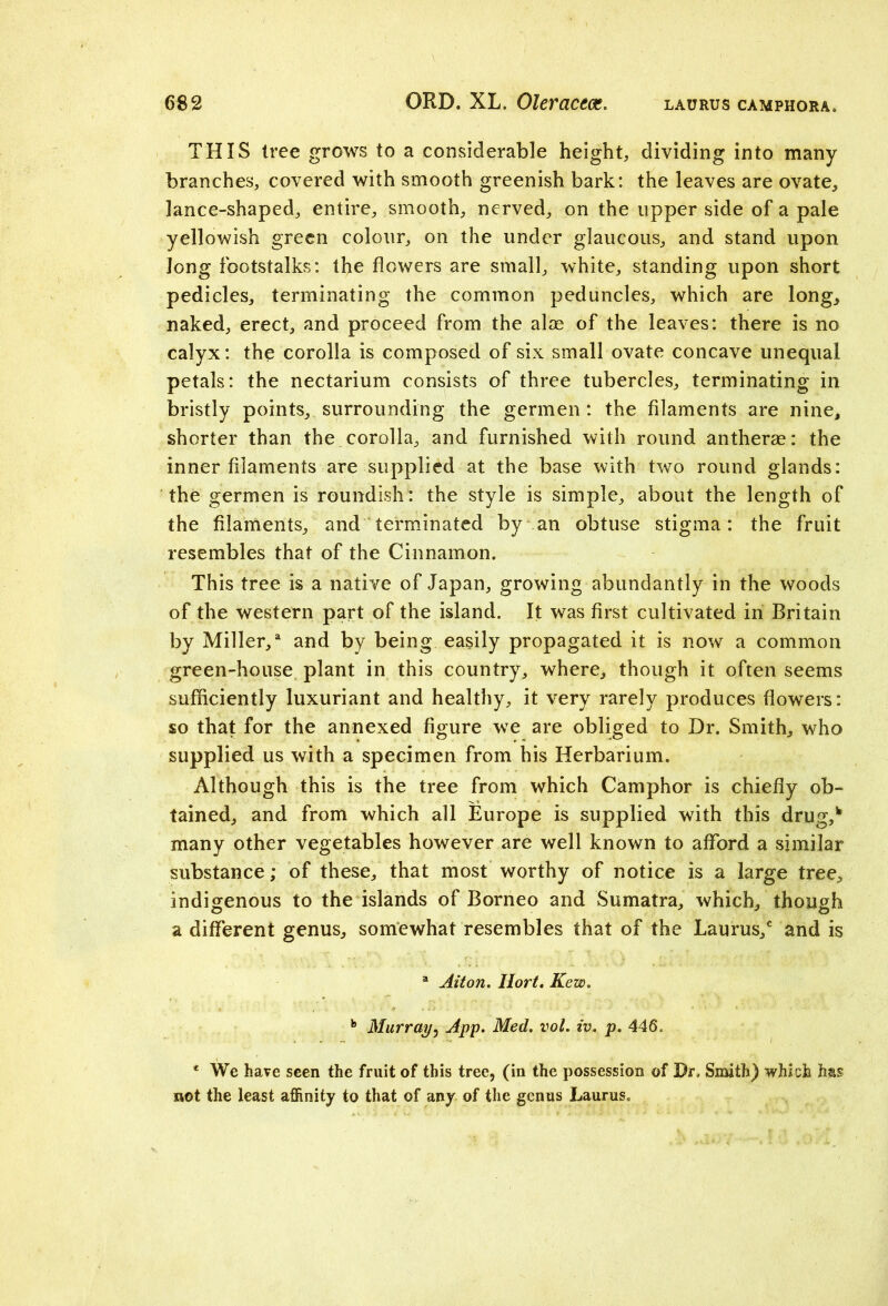 THIS tree grows to a considerable height, dividing into many branches, covered with smooth greenish bark: the leaves are ovate, lance-shaped, entire, smooth, nerved, on the upper side of a pale yellowish green colour, on the under glaucous, and stand upon long footstalks: the flowers are small, white, standing upon short pedicles, terminating the common peduncles, which are long, naked, erect, and proceed from the aim of the leaves: there is no calyx: the corolla is composed of six small ovate concave unequal petals: the nectarium consists of three tubercles, terminating in bristly points, surrounding the germen: the filaments are nine, shorter than the corolla, and furnished with round antherae: the inner filaments are supplied at the base with two round glands: the germen is roundish: the style is simple, about the length of the filaments, and terminated by an obtuse stigma: the fruit resembles that of the Cinnamon. This tree is a native of Japan, growing abundantly in the woods of the western part of the island. It was first cultivated in Britain by Miller/ and by being easily propagated it is now a common green-house plant in this country, where, though it often seems sufficiently luxuriant and healthy, it very rarely produces flowers: so that for the annexed figure we are obliged to Dr. Smith, who supplied us with a specimen from his Herbarium. Although this is the tree from which Camphor is chiefly ob- tained, and from which all Europe is supplied with this drug/ many other vegetables however are well known to afford a similar substance; of these, that most worthy of notice is a large tree, indigenous to the islands of Borneo and Sumatra, which, though a different genus, somewhat resembles that of the Laurus/ and is a Alton. Ilort. Kew. b Murray, App. Med. vol. iv. p. 446. e We have seen the fruit of this tree, (in the possession of Dr, Smith) which has not the least affinity to that of any of the genus Laurus,