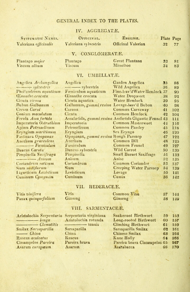 IV. AGGREGATE. Systematic Names. Officinal. English. Plate Page Valeriana officinalis Valeriana sylvestris Officinal Valerian 32 77 ■ \ V. CONG LQMERATiE. Plantago major Planfago Great Plantane 33 St Vis cum album Vis cum Misseltoe 34 83 VI. UMBELLATE. Angelica Arch an a; die a Angelica Garden Angelica 35 86 i 1 i ! Ci a cc — sylvestris Wild Angelica 36 89 PheJ! andrium aquaticum Fceniculum aquaticum Fine-leav’dWater Hemlock 37 90 G2nan-the.crojC«ta (Euan the crocata Water Drop wort 38 92 Cicuta virosa Cicuta aquatica Water Hemlock 39 95 Bubon Galbanum Galbanum, gummi resina Lovage-leav’d Bubon 40 98 Co rum Garni Car u on Common Carraway 41 102 Co ni u in m aculatum Cicuta Common Hemlock 42 104 Ferula Assa feetida Assafoetida, gummi resina Assfcetida Gigantic Fennel 43 111 Imperatoria Ostr-uthium imperatoria Common Masterwort 41 116 Apium Petrosdinum Petroselioum Common Parsley 45 118 Eryngium maritimum Eryngium Sea Eryngo 46 120 Pastinaca Opopanax Opopanax, gummi resina Hough Parsnep 47 122 Anethum graveolens Anethum Common Dill 48 125 ■ Fceniculum Fceniculum Common Fennel 49 127 Daucus Carol a Daucus sylvestris Wild Carrot 50 130 Pimpinella Saxifraga Pimpinella Small Buruet Saxifrage 51 133 Am stum Anisum Anise 52 135 Coriandrum sativum Coriandrum Common Coriander 53 137 Sium nodijlorum Sium Creeping Water Parsnep 54 139 J igusticum Levisticum Levisticum Lovage 55 141 Cuminum Cymynam Cuminum Cumin 56 142 VII. IIEDERACE.E. Vitis vinifera Vitis Common Vine 57 144 Panax quinquefolium Ginseng Ginseng 58 149 VIII. SARMENTACEiE. Aristolochia Serpentaria Serpentaria virginiana Snakeroot Birthwort 59 153 longa Aristolochia rotunda Long-rooted Birthwort 60 157 Clematitis tenuis Climbing Birthwort 61 159 Smilax Sarsaparilla Sarsaparilla Sarsaparilla Smilax 62 161 China China Chinese Smilax 63 164 Ruscus aculeafus Ruscus Knee Holly 64 166 Cissampelos Pareira Pareira brava Pareira brava Cissampelos 65 167 Asarum europceum Asaruin Asatabacca 66 170