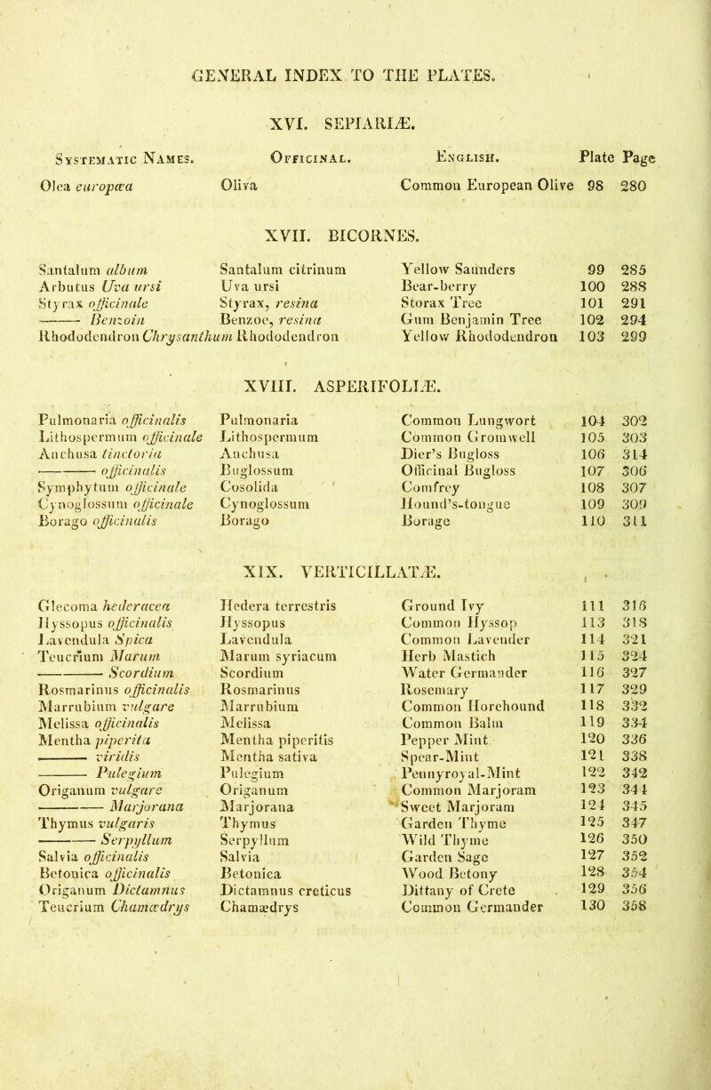 XVI. SEPIARI^. Systematic Names. Officinal. English. Plate Page OJea europcca Oliva Common European Olive 98 280 XVII. BICORNES. Santalum album Santalum citrinum Yellow Saunders 99 285 Arbutus Uva ursi Uva ursi Bear-berry 100 288 Sty rax officinale Styrax, resina S to rax Tree 101 291 — Benzoin Benzoe, resina Gum Benjamin Tree 102 294 Rhododendron ChrysantJu um Rhododendron Yellow Rhododendron 103 299 f XVIII. ASPEIilFOLLE. Pulmonaria officinalis Pulmonaria Common Lungwort 104 302 Lithospermum officinale Lithospermum Common Gromwell 105 303 Anchusa tinctoria Anchusa Dier’s Bugloss 10(3 314 officinalis Buglossum Officinal Bugloss 107 306 Symphytum officinale Cosolida Comfrey 108 307 Cynoglossuni officinale Cynoglossuni Hound’s-tongue 109 309 Borago officinalis Borago Borage 110 311 XIX. VERTICILLAITE. Glecoma hederacea Hedera terrestris Ground Ivy 111 316 Jlyssopus officinalis Hyssopus Common Hyssop 113 318 Lavcnduja Spica Lavendula Common Lavender 114 321 Teucrlum Marum Marum syriacum Herb Mastich 115 324 S cor diu m Scordium Water Germander 116 327 Rosmarinus officinalis Rosmarinus Rosemary 117 329 Marrubium vnlgare Marrubium Common Horchound 118 332 Melissa officinalis Melissa Common Balm 119 334 Mentha piperita Mentha piperitis Pepper Mint 120 336 viridis Mentha sativa Spear-Mint 121 338 Pulegiitm Pulegium Pennyroyal-Mint 122 342 Origanum vulgare Origanum Common Marjoram 123 344 Marjorana Marjorana “■ Sweet Marjoram 124 345 Thymus vulgaris Thymus Garden Thyme 125 347 Serpyllum Serpyllum Wild Thyme 126 350 Salvia officinalis Salvia Garden Sage 127 352 Betonica officinalis Betonica Wood Betony 128 354 Origanum Dictamnus Dictamnus creticus Dittany of Crete 129 356 Teuerium Cham cc dry s Chamsedrys Common Germander 130 358
