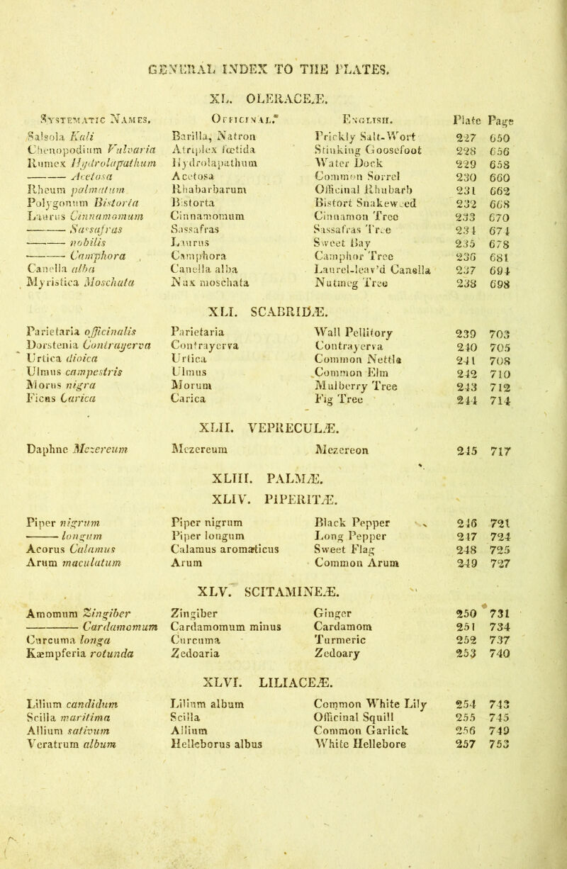 XL. OLERACE.E. Systematic Names, Officinal.* English. Plate Page Sal sol a Kali Barilla, Natron Prickly Salt-Wort 227 650 Chenopodium Vulvaria Atriplex fGets da Stinking Goosefoot 228 656 Rumex llydrolapathum Uydrolapathum Water Dock 229 658 Acetosa Acetosa Common Sorrel 230 660 Rheum pal mat urn Rhabarbarum Officinal Rhubarb 231 662 Polygonum Bistort a Bistorta Bistort Snakeweed 232 668 Taurus Cinnamomum Cinnamomum Cinnamon Tree 233 670 Sassafras Sassafras Sassafras Tree 234 674 - nobilis La urns Sweet Bay 235 678 ■ Camphor a Camphora Camphor Tree 236 681 Canella alba Canella alba Laurel-lea v’d Canella 237 694 Myristica Moschata N ax moschata Nutmeg Tree 238 698 XU. SC ABRIDGE. Parietaria officinalis Parietaria Wall Pellitory 239 703 Dorstenia Contrayerva Contrayerva Contrayerva 240 705 Urtica dioica Urtica Common Nettle 241 708 U1 ni u s ca mpestris Ulmus Common Elm 242 710 Moms nigra Morum Mulberry Tree 243 712 Ficus 6arica Carica Fig Tree 244 714 XLII. VEPRECUL.E. Daphne Mezereum Mezereum Mezereon 245 717 XLIir. PALM/E. XLIV. PIPERITiE. Piper nigrum Piper nigrum Black Pepper > 246 721 • Ion gum Piper longum Long Pepper 247 724 Acorus Calamus Calamus aromasticus Sweet Flag 248 725 Arum maculatum Arum Common Arum 249 727 XLV. SCITAMINEjE. Amomum Zingiber Zingiber Ginger 250 731 Cardamomum Cardamomum minus Cardamom 251 734 Curcuma long a Curcuma Turmeric 252 737 Kaempferia rotunda Zedoaria Zedoary 253 740 XLVI. LILIACEAS. Lilium candidum Lilium album Common White Lily 254 743 Scilla maritima Scilla Officinal Squill 255 745 Allium sativum Allium Common Garlick 256 749 Veratrum album Helleborus albus White Hellebore 257 753