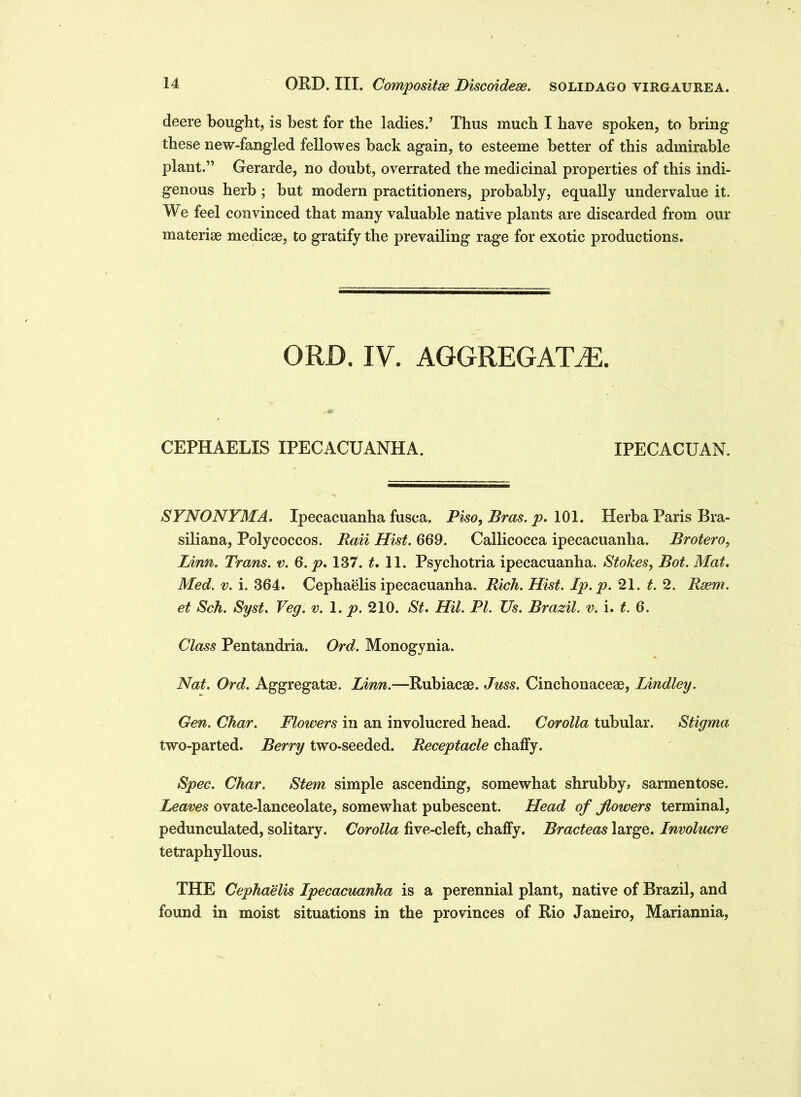 OKD. III. Composite Biscoidese. solid ago virgaurea. deere bought, is best for the ladies.’ Thus much I have spoken, to bring these new-fangled fellowes back again, to esteeme better of this admirable plant.” Gerarde, no doubt, overrated the medicinal properties of this indi- genous herb; but modern practitioners, probably, equally undervalue it. We feel convinced that many valuable native plants are discarded from our materiae medicae, to gratify the prevailing rage for exotic productions. ORD. IV. AGGREGATE. CEPHAELIS IPECACUANHA. IPECACUAN. SYNONYMA. Ipecacuanha fusca, Piso, Bras. p. 101. Herba Paris Bra- siliana, Polycoccos. Rail Hist. 669. Callicoeca ipecacuanha. Brotero, Linn. Trans, v. 6. p. 137. £.11. Psychotria ipecacuanha. Stokes, Bot. Mat. Med. v. i. 364. Cephaelis ipecacuanha. Rich. Hist. Ip. p. 21. t. 2. Rsem. et Sch. Syst. Veg. v. 1. p. 210. St. Hit. PI. Us. Brazil, v. i. t. 6. Class Pentandria. Ord. Monogynia. Nat. Ord. Aggregatae. Linn.—Rubiacse. Juss. Cinchonaceae, Lindley. Gen. Char. Flowers in an involucred head. Corolla tubular. Stigma two-parted. Berry two-seeded. Receptacle chaffy. Spec. Char. Stem simple ascending, somewhat shrubby, sarmentose. Leaves ovate-lanceolate, somewhat pubescent. Head of flowers terminal, pedunculated, solitary. Corolla five-cleft, chaffy. Bracteas large. Involucre tetraphyllous. THE Cephaelis Ipecacuanha is a perennial plant, native of Brazil, and found in moist situations in the provinces of Rio Janeiro, Mariannia,
