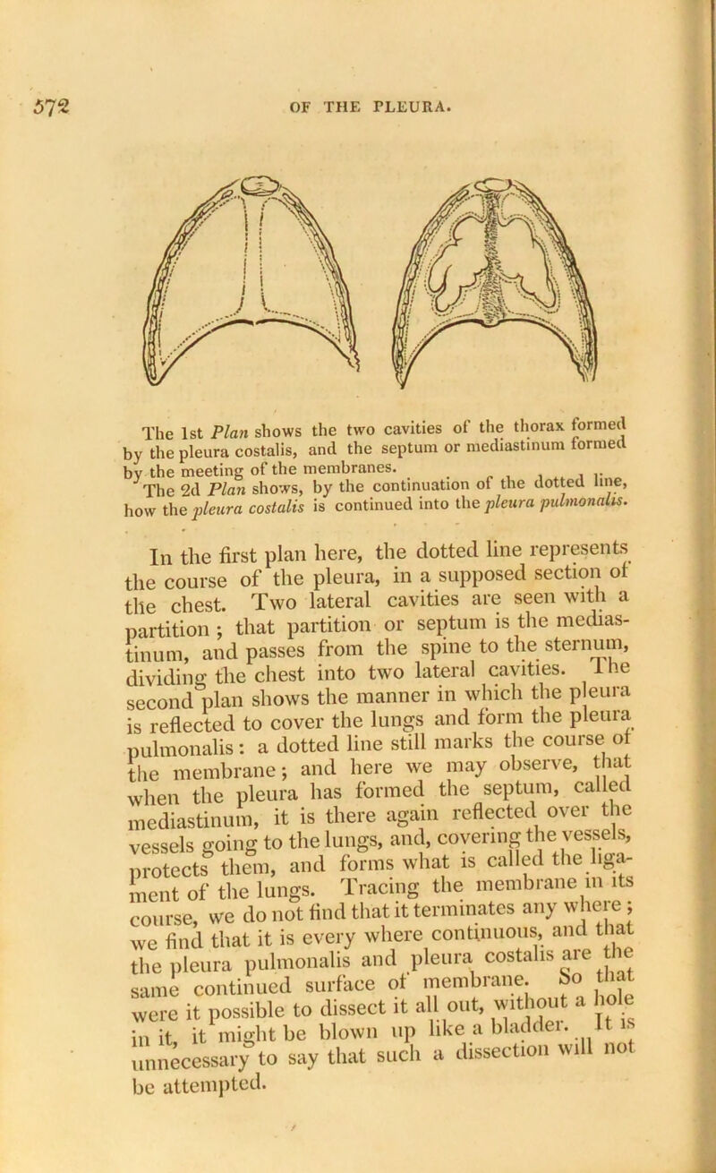 The 1st Plan shows the two cavities of the thorax formed by the pleura costalis, and the septum or mediastinum formed bv the meeting of the membranes. The 2d Plan shows, by the continuation of the dotted line, how the pleura costalis is continued into the pleura pulmonalts. In the first plan here, the dotted line represents the course of the pleura, in a supposed section of the chest. Two lateral cavities are seen with a partition ; that partition or septum is the medias- tinum, and passes from the spine to the sternum, dividing the chest into two lateral cavities. I he second plan shows the manner in which the pleuia is reflected to cover the lungs and form the pleura pulmonalis: a dotted line still marks the course of the membrane; and here we may observe, that when the pleura has formed the septum, called mediastinum, it is there again reflected over the vessels going to the lungs, and, covering the vessels, protects them, and forms what is called the liga- ment of the lungs. Tracing the membrane in its course, we do not find that it terminates any where; we find that it is every where continuous, and that the pleura pulmonalis and pleura costalis are the same continued surface of membrane, bo that were it possible to dissect it all out, without a hole in it, it might be blown up like a bladder. It is unnecessary to say that such a dissection will no be attempted. /