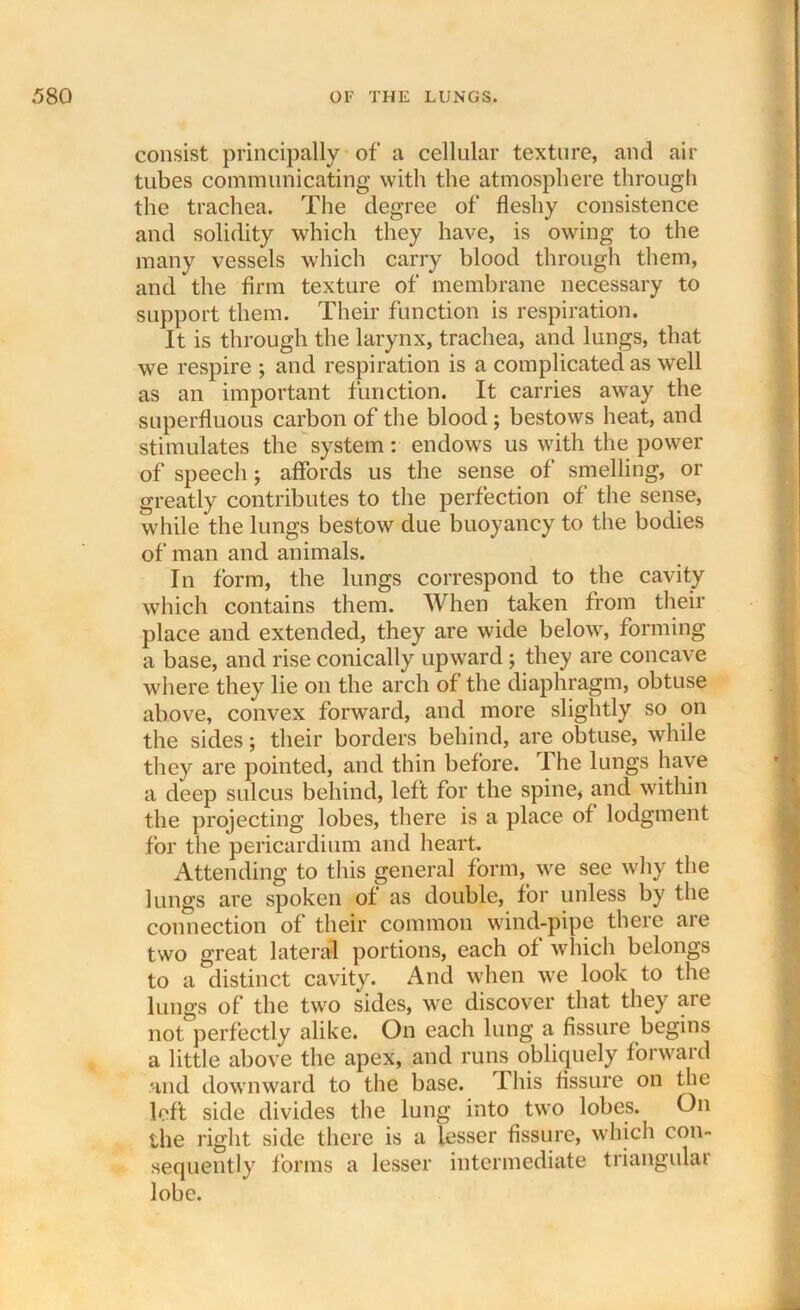 consist principally of a cellular texture, and air tubes communicating with the atmosphere through the trachea. The degree of fleshy consistence and solidity which they have, is owing to the many vessels which carry blood through them, and the firm texture of membrane necessary to support them. Their function is respiration. It is through the larynx, trachea, and lungs, that we respire ; and respiration is a complicated as well as an important function. It carries away the superfluous carbon of the blood ; bestows heat, and stimulates the system: endows us with the power of speech; affords us the sense of smelling, or greatly contributes to the perfection of the sense, while the lungs bestow due buoyancy to the bodies of man and animals. In form, the lungs correspond to the cavity which contains them. When taken from their place and extended, they are wide below, forming a base, and rise conically upward; they are concave where they lie on the arch of the diaphragm, obtuse above, convex forward, and more slightly so on the sides; their borders behind, are obtuse, while they are pointed, and thin before. The lungs have a deep sulcus behind, left for the spine, and within the projecting lobes, there is a place of lodgment for the pericardium and heart. Attending to this general form, we see why the lungs are spoken of as double, for unless by the connection of their common wind-pipe there are two great lateral portions, each of which belongs to a distinct cavity. And when we look to the lungs of the two sides, we discover that they are not perfectly alike. On each lung a fissure begins a little above the apex, and runs obliquely forward and downward to the base. This fissure on the left side divides the lung into two lobes. On the right side there is a lesser fissure, which con- sequently forms a lesser intermediate triangular lobe.