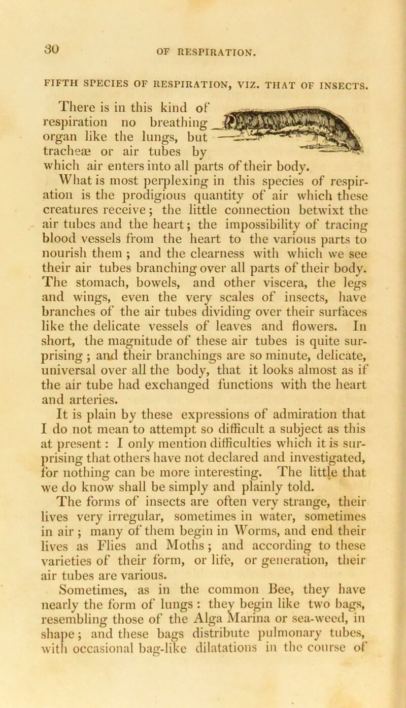 80 FIFTH SPi:CIES OF RESPIRATION, VIZ. THAT OF INSECTS. There is in this kind of respiration no breathing organ like the lungs, but tracheae or air tubes by which air enters into all parts of their body. What is most perplexing in this species of respir- ation is the prodigious quantity of air which these creatures receive; the little connection betwixt the - air tubes and the heart; the impossibility of tracing blood vessels from the heart to the various parts to nourish them ; and the clearness with which we see their air tubes branching over all parts of their body. The stomach, bowels, and other viscera, tlie legs and wings, even the very scales of insects, have branches of the air tubes dividing over their surfaces like the delicate vessels of leaves and flowers. In short, the magnitude of these air tubes is quite sur- prising ; and their branchings are so minute, delicate, universal over all the body, that it looks almost as if the air tube had exchanged functions with the heart and arteries. It is plain by these expressions of admiration that I do not mean to attempt so difficult a subject as this at present: I only mention difficulties wliich it is sur- prising that others have not declared and investigated, for nothing can be more interesting. The little that we do know shall be simply and plainly told. The forms of insects are often very strange, their lives very irregular, sometimes in water, sometimes in air ; many of them begin in Worms, and end their lives as Flies and Moths; and according to these varieties of their form, or life, or generation, their air tubes are various. Sometimes, as in the common Bee, they have nearly the form of lungs : they begin like two bags, resembling those of the Alga Marina or sea-weed, in shape; and these bags distribute pulmonary tubes, witli occasional bag-like dilatations in the course of