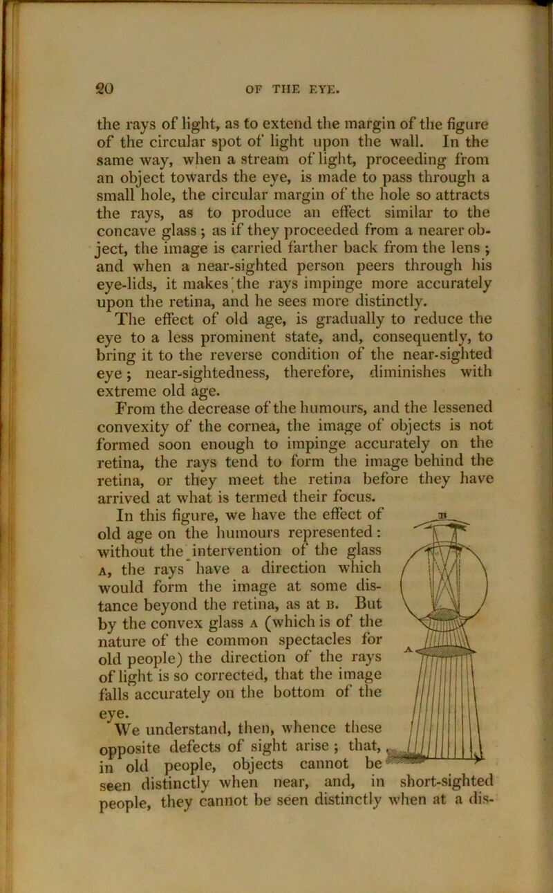 the rays of light, as to extend the margin of the figure of the circular spot of light upon the wall. In the same way, when a stream of light, proceeding from an object towards the eye, is made to pass through a small hole, the circular margin of the hole so attracts the rays, as to produce an effect similar to the concave glass ; as if they proceeded from a nearer ob- ject, the image is carried farther back from the lens ; and when a near-sighted person peers through his eye-lids, it makes'the rays impinge more accurately upon the retina, and he sees more distinctly. The effect of old age, is gradually to reduce the eye to a less prominent state, and, consequently, to bring it to the reverse condition of the near-sighted eye j near-sightedness, therefore, diminishes with extreme old age. From the decrease of the humours, and the lessened convexity of the cornea, the image of objects is not formed soon enough to impinge accurately on the retina, the rays tend to form the image behind the retina, or they meet the retina before they have arrived at what is termed their focus. In this figure, we have the effect of old age on the humours represented: without the intervention of the glass a, the rays have a direction which would form the image at some dis- tance beyond the retina, as at b. But by the convex glass a (which is of the nature of the common spectacles for old people) the direction of the rays of light is so corrected, that the image falls accurately on the bottom of the eye. We understand, then, whence these opposite defects of sight arise ; that, in old people, objects cannot be seen distinctly when near, and, in short-sighted people, they cannot be seen distinctly when at a dis-