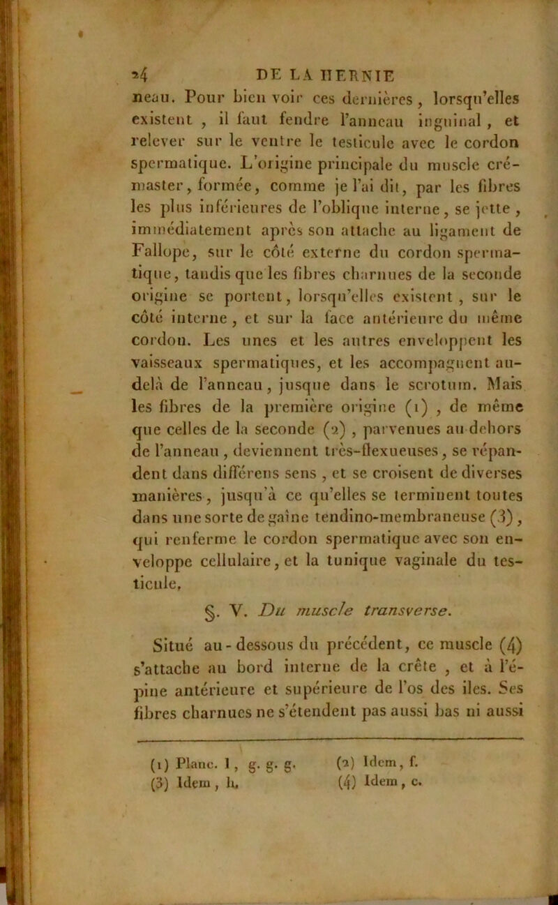 *4 DELAITEÏÏNIE neùu. Pour bien voir ces dernières, lorsqu’elles existent , il iaiit fendre ranneau inguinal , et relever sur le ventre le testicule avec le cordon spermatique. L’origine principale du muscle cré- niaster, formée, comme je l’ai dit, par les libres les plus inférieures de l’oblique interne, se jette , immédiatement apres son attache au ligament de Fallope, sur le coté externe du cordon sperma- tique, tandis que les fibres charnues de la seconde origine se portent, lorsqu’elles existent, sur le coté interne , et sur la face antérieure du même cordon. Les unes et les autres enveloppent les vaisseaux spermatiques, et les accomjtagncnt au- dehà de l’anneau, jusque dans le scrotum. Mais les fibres de la première origine (i) , de même que celles de la seconde (u) , parvenues au dehors de l’anneau , deviennent très-flexueuses, se répan- dent dans diflrércns sens , et se croisent de diverses manières, jusqu’à ce qu’elles se terminent toutes dans une sorte de gaine tendino-membraneuse (3), qui renferme le co.'’don spermatique avec son en- veloppe cellulaire, et la tunique vaginale du tes- ticule, V. Du muscle transverse. Situé au-dessous du précédent, ce muscle (4) s’attache au bord interne de la crête , et à l’é- pine antérieure et supérieure de l’os des iles. Ses fibres charnues ne s’étendent pas aussi bas ni aussi (i) Plane. 1 , g. g. g. (3) Idem, h. (a) Idem, f. (4) Idem, c.