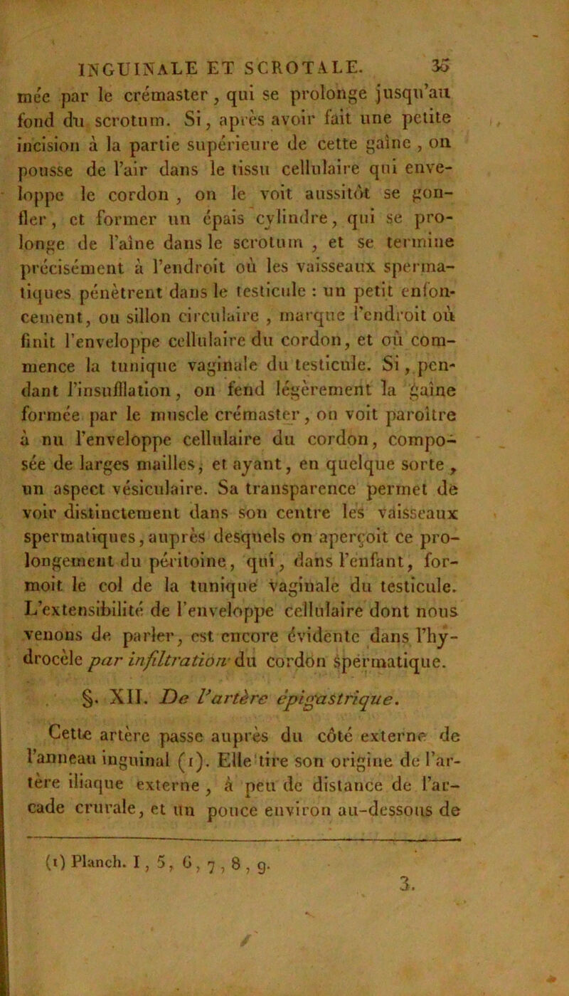 méc par le crémaster, qui se prolonge jusqu’au fond du scrotum. Si, après avoir fait une petite incision à la partie supérieure de cette gaine , ou pousse de l’air dans le tissu cellulaire qui enve- loppe le cordon , on le voit aussitôt se gon- fler, et former un épais cylindre, qui se pro- longe de faîne dans le scrotum , et se termine précisément à l’endroit où les vaisseaux sperma- tiques pénètrent dans le testicule : un petit enfon- cement, ou sillon circulaire , marque fcndroit où finit l’enveloppe cellulaire du cordon, et où com- mence la tunique vaginale du testicule. Si, pen- dant finsufllatlon, on fend légèrement la gaine formée par le muscle crémaster, on voit paroître à nu l’enveloppe cellulaire du cordon, compo- sée de larges maillesj et ayant, en quelque sorte , un aspect vésiculaire. Sa transparence permet dé voir distinctement dans sou centre les vaisseaux spermatiques, auprès desquels on aperçoit ce pro- longement du péiàtolne, qui, dans fenfant, for- moit le col de la tunique vaginale du testicule. L’extensibilité de l’enveloppe cellulaire dont nous venons de parler, est encore évidente dans l’hy- drocèle par infiltration- du cordôn spermatique. §. XII. T)e Vartère épigastrique. Cette artère passe auprès du côté externe de l’anneau inguinal (i). ElleUire son origine de l’ar- tere iliaque externe , à peu de distance de l’ar- cade crurale, et un pouce environ au-dessous de (i) Planch. 1,5, fi, 7,8 , g. 3.