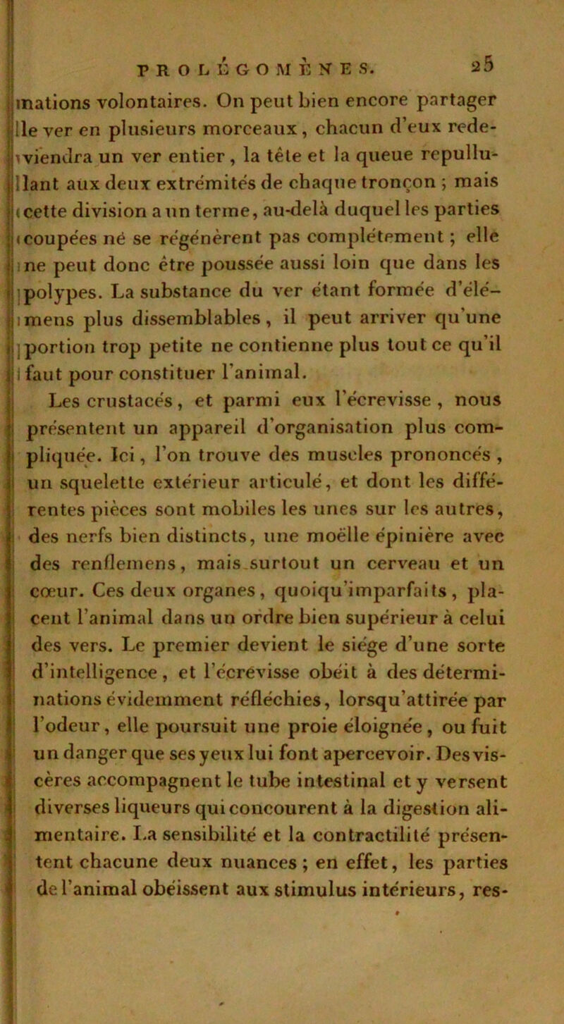 PR OLEGOMENE S. mations volontaires. On peut bien encore partager lie ver en plusieurs morceaux, chacun d’eux rede- viendra un ver entier, la tête et la queue repullu- 1 lant aux deux extrémités de chaque tronçon ; mais i cette division a un terme, au-delà duquel les parties «coupées né se régénèrent pas complètement ; elle ne peut donc être poussée aussi loin que dans les ]polypes. La substance du ver étant formée d’élé- imens plus dissemblables, il peut arriver qu'une jportion trop petite ne contienne plus tout ce qu’il i faut pour constituer l’animal. Les crustacés, et parmi eux l’écrevisse, nous présentent un appareil d’organisation plus com- pliquée. Ici, l’on trouve des muscles prononcés , un squelette extérieur articulé, et dont les diffé- rentes pièces sont mobiles les unes sur les autres, des nerfs bien distincts, une moelle épinière avec des renflemens, mais surtout un cerveau et un cœur. Ces deux organes, quoiqu’imparfaits, pla- cent l’animal dans un ordre bien supérieur à celui des vers. Le premier devient le siège d’une sorte d’intelligence, et l’écrevisse obéit à des détermi- nations évidemment réfléchies, lorsqu’attirée par l’odeur, elle poursuit une proie éloignée , ou fuit un danger que ses yeux lui font apercevoir. Des vis- cères accompagnent le tube intestinal et y versent diverses liqueurs qui concourent à la digestion ali- mentaire. La sensibilité et la contractilité présen- tent chacune deux nuances; en effet, les parties de l’animal obéissent aux stimulus intérieurs, res-