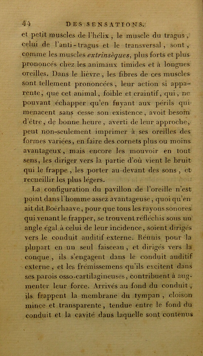 et petit muscles de l’hélix , le muscle du tragus , celui de l’anti-tragus et le transversal, sont, comme les muscles extrinsèques, plus forts et plus prononcés chez les animaux timides et à longues oreilles. Dans le lièvre , les fibres de ces muscles sont tellement prononcées , leur action si appa- rente, que cet animal, foible et craintif, qui, ne pouvant échapper qu’en fuyant aux périls qui menacent sans cesse son existence, avoit besoin d’être, de bonne heure, averti de leur approche, peut non-seulement imprimer à ses oreilles des formes variées, en faire des cornets plus ou moins avantageux, mais encore les mouvoir en tout sens, les diriger vers la partie d’où vient le bruit qui le frappe , les porter au-devant des sons , et recueillir les plus légers. La configuration du pavillon de l’oreille n’est point dans l’homme assez avantageuse, quoi qu’en ait dit Boè'rhaave, pour que tous les rayons sonores qui venant le frapper, se trouvent réfléchis sous un angle égal à celui de leur incidence, soient dirigés vers le conduit auditif èxterne. Réunis pour la plupart en un seul faisceau , et dirigés vers la conque , ils s’engagent dans le conduit auditif externe , et les frémissemens qu’ils excitent dans ses parois osso-eartilagineuses, contribuent à aug- menter leur force. Arrivés au fond du conduit, ils frappent la membrane du tympan , cloison mince et transparente, tendue entre le fond du conduit et la cavité dans laquelle sont contenus