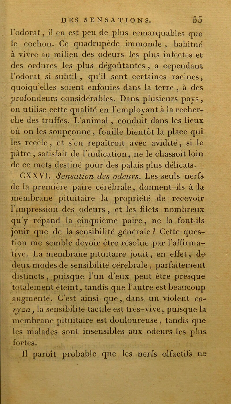 l'odorat, il en est peu de plus remarquables que le cochon. Ce quadrupède immonde , habitué à vivre au milieu des odeurs les plus infectes et des ordures les plus dégoûtantes , a cependant l’odorat si subtil , qu’il sent certaines racines, quoiqu’elles soient enfouies dans la terre , à des profondeurs considérables. Dans plusieurs pays, on utilise cette qualité en l’employant à la recher- che des truffes. L’animal, conduit dans les lieux où on les soupçonne, fouille bientôt la place qui les recèle , et s’en repaîtroit avec avidité, si le pâtre , satisfait de l’indication, ne le chassoit loin de ce mets destiné pour des palais plus délicats. CXXVI. Sensation des odeurs. Les seuls nerfs de la première paire cérébrale, donnent-ils à la membrane pituitaire la propriété de recevoir l’impression des odeurs , et les filets nombreux qu’y répand la cinquième paire, ne la font-ils jouir que de la sensibilité générale? Cette ques- tion me semble devoir être résolue par l’affirma- tive. La membrane pituitaire jouit, en effet, de deux modes de sensibilité cérébrale, parfaitement distincts , puisque l’un d’eux peut être presque totalement éteint, tandis que l’autre est beaucoup augmenté. C’est ainsi que, dans un violent co- ryza, la sensibilité tactile est très-vive, puisque la membrane pituitaire est douloureuse, tandis que les malades sont insensibles aux odeurs les plus fortes. Il paroît probable que les nerfs olfactifs ne