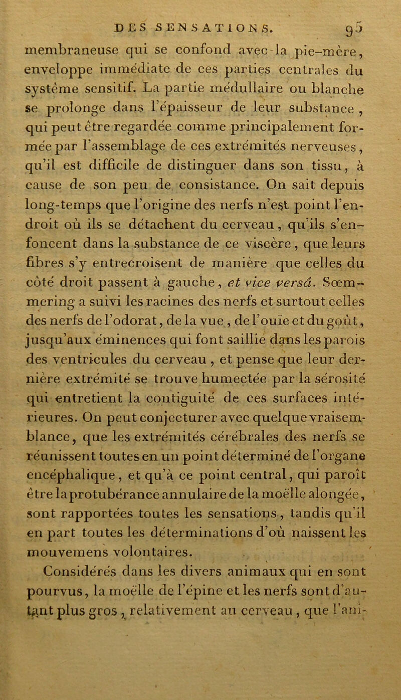 membraneuse qui se confond avec la pie-mère, enveloppe immédiate de ces parties centrales du système sensitif. La partie médullaire ou blanche se prolonge dans l’épaisseur de leur substance , qui peut être regardée comme principalement for- mée par l'assemblage de ces extrémités nerveuses, qu’il est difficile de distinguer dans son tissu, à cause de son peu de consistance. On sait depuis long-temps que l’origine des nerfs n’est point l’en- droit où ils se détachent du cerveau, qu’ils s’en- foncent dans la substance de ce viscère , que leurs fibres s’y entrecroisent de manière que celles du côté droit passent à gauche, et vice versâ. Sœm- mering a suivi les racines des nerfs et surtout celles des nerfs de l’odorat, de la vue , de l’ouïe et du goût, jusqu’aux éminences qui font saillie dans les parois des ventricules du cerveau , et pense que leur der- nière extrémité se trouve humectée par la sérosité qui entretient la contiguïté de ces surfaces inté- rieures. On peut conjecturer avec quelque vraisem- blance, que les extrémités cérébrales des nerfs se réunissent toutes en un point déterminé de l’organe encéphalique, et qu’à ce point central, qui paroît être laprotubérance annulaire de la moelle alongée, sont rapportées toutes les sensations, tandis qu’il en part toutes les déterminations d’où naissent les mouvemens volontaires. Considérés dans les divers animaux qui en sont pourvus, la moéile de l’épine et les nerfs sont d’au- tant plus gros , relativement an cerveau , que l’nni-
