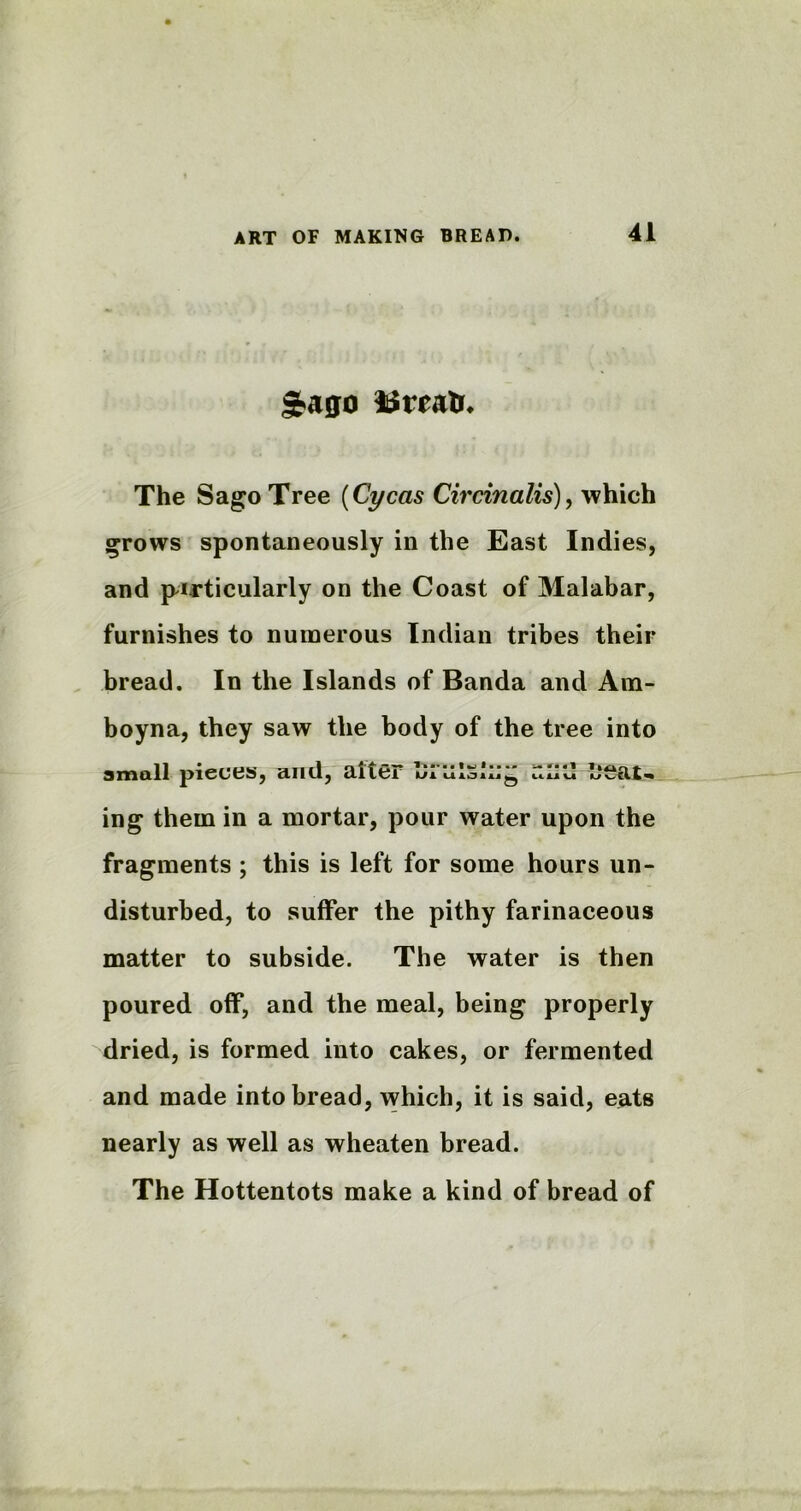 3?ago 3tftratr* The Sago Tree (Cycas Circinalis), which grows spontaneously in the East Indies, and particularly on the Coast of Malabar, furnishes to numerous Indian tribes their bread. In the Islands of Banda and Am- boyna, they saw the body of the tree into small pieces, and, alter E;'ul5i:;g nilti Seat- ing them in a mortar, pour water upon the fragments ; this is left for some hours un- disturbed, to suffer the pithy farinaceous matter to subside. The water is then poured off, and the meal, being properly dried, is formed into cakes, or fermented and made into bread, which, it is said, eats nearly as well as wheaten bread. The Hottentots make a kind of bread of