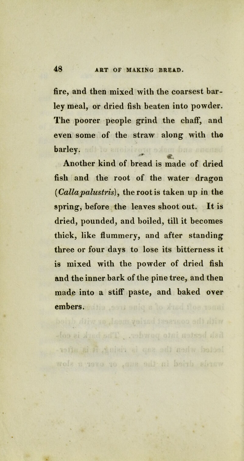 fire, and then mixed with the coarsest bar- ley meal, or dried fish beaten into powder. The poorer people grind the chaff, and even some of the straw along with the Another kind of bread is made of dried fish and the root of the water dragon (Callapalustris), the root is taken up in the spring, before the leaves shoot out. It is dried, pounded, and boiled, till it becomes thick, like flummery, and after standing three or four days to lose its bitterness it is mixed with the powder of dried fish and the inner bark of the pine tree, and then made into a stiff paste, and baked over embers. barley.