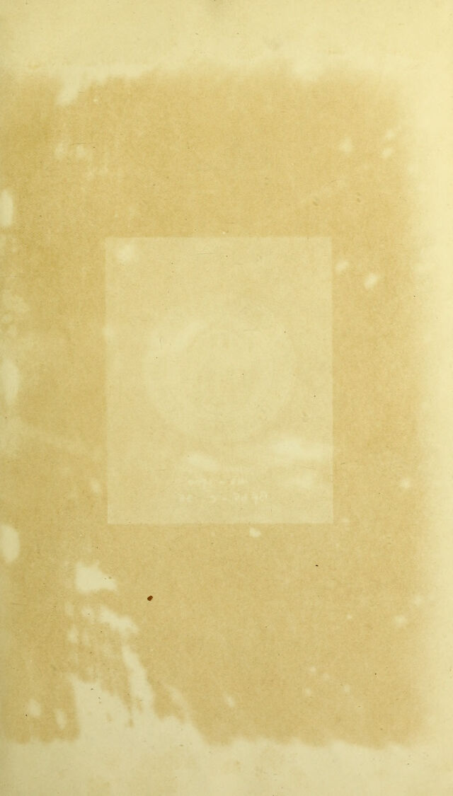 digitised image 3