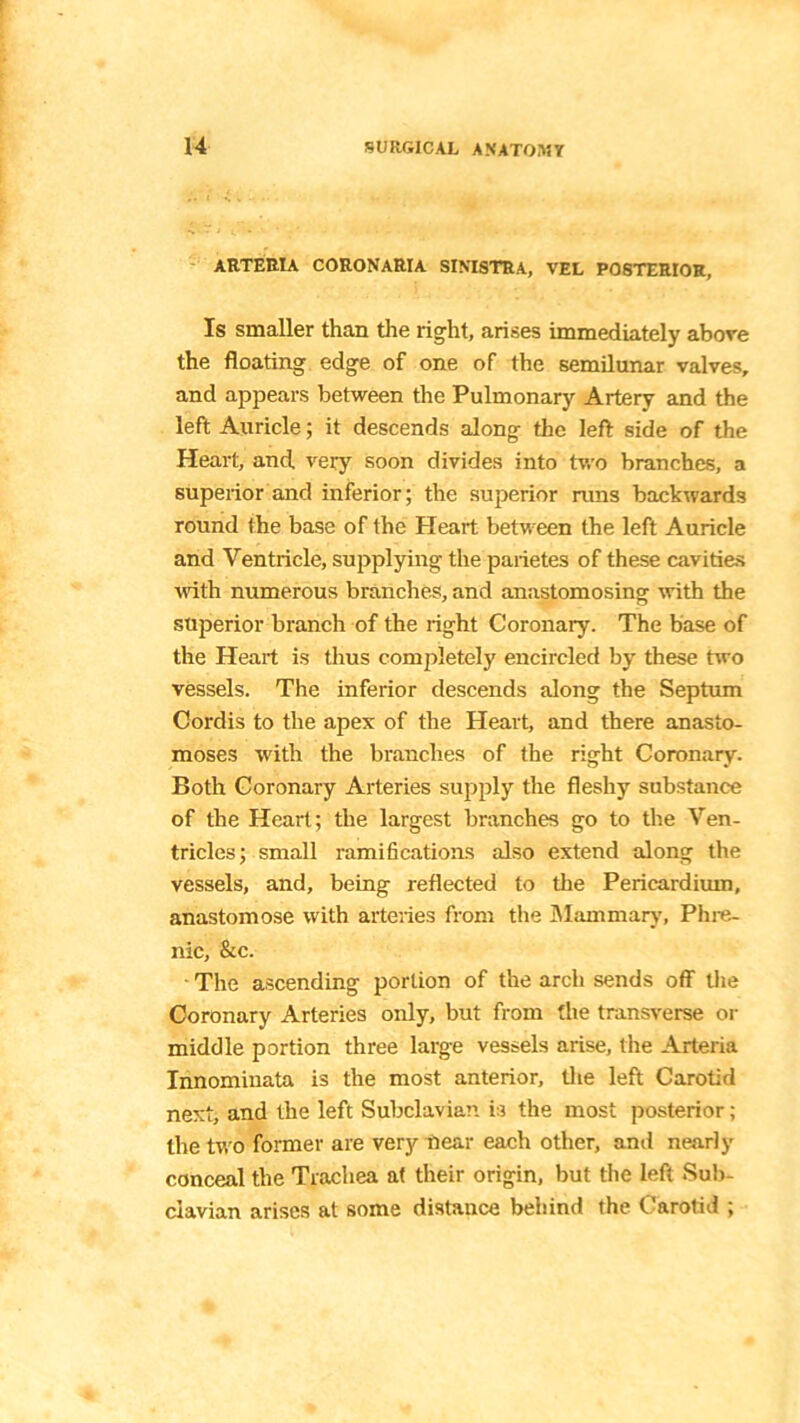 ARTERTA coronaria sinistra, vel posterior, Is smaller than the right, arises immediately above the floating edge of one of the semilunar valves, and appears between the Pulmonary Artery and the left Auricle; it descends along the left side of the Heart, and. very soon divides into two branches, a superior and inferior; the superior runs backwards round the base of the Heart between the left Auricle and Ventricle, supplying the parietes of these cavities ■with numerous branches, and anastomosing with the superior branch of the right Coronary. The base of the Heart is thus completely encircled by these two vessels. The inferior descends along the Septum Cordis to the apex of the Heart, and there anasto- moses with the branches of the right Coronary. Both Coronary Arteries supply the fleshy substance of the Heart; the largest branches go to the Ven- tricles; small ramifications also extend along the vessels, and, being reflected to the Pericardium, anastomose with arteries from the Mammary, Phre- nic, &c. The ascending portion of the arch sends off the Coronary Arteries only, but from the transverse or middle portion three large vessels arise, the Arteria Innominata is the most anterior, the left Carotid next, and the left Subclavian is the most posterior; the two former are very near each other, and nearly conceal the Trachea at their origin, but the left Sub- clavian arises at some distance behind the Carotid ;