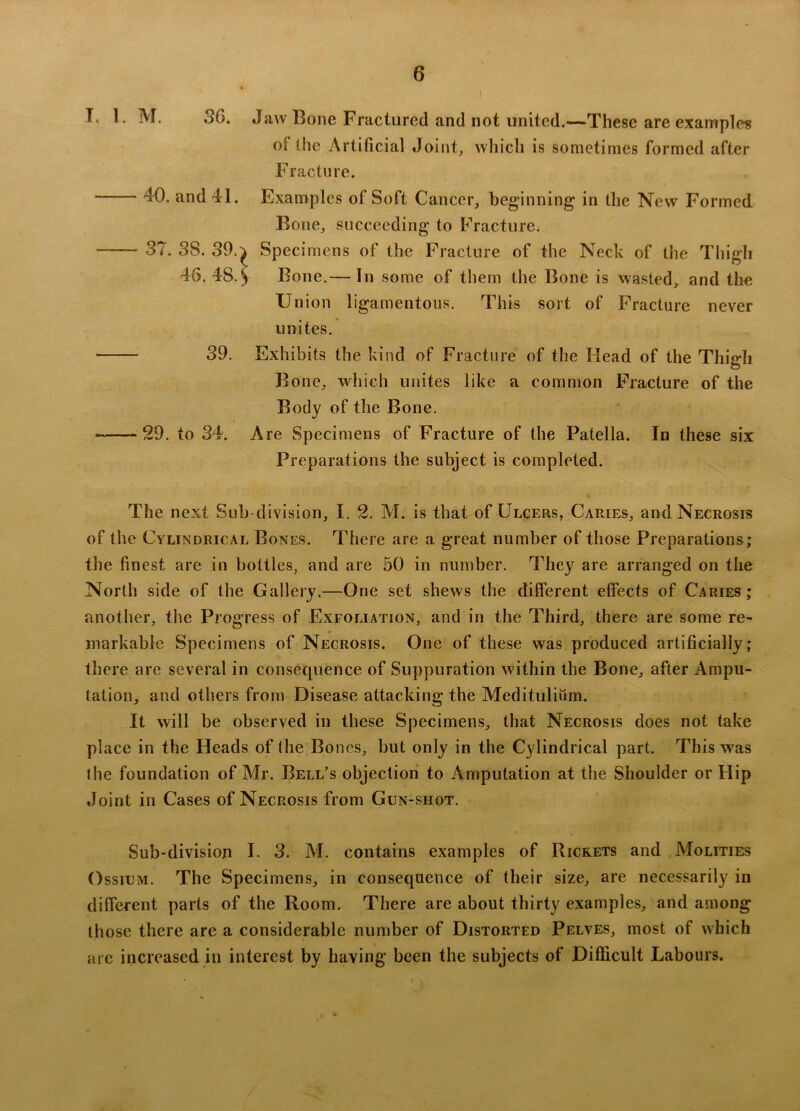 i I. 1. M. 36. Jaw Bone Fractured and not united.—These are examples of the Artificial Joint, which is sometimes formed after Fracture. 40. and 41. Examples of Soft Cancer, beginning in the New Formed Rone, succeeding to Fracture. 37. 3S. 39.) Specimens of the Fracture of the Neck of the Thiffh 46. 48.) Bone.— In some of them the Bone is wasted, and the Union ligamentous. This sort of Fracture never unites. * 39. Exhibits the kind of Fracture of the Head of the Thigh Bone, which unites like a common Fracture of the Body of the Bone. 29. to 34. Are Specimens of Fracture of the Patella. In these six Preparations the subject is completed. The next Sub-division, I. 2. M. is that of Ulcers, Caries, and Necrosis of the Cylindrical Bones. There are a great number of those Preparations; the finest are in bottles, and are 50 in number. They are arranged on the North side of the Gallery.—One set shews the different effects of Caries; another, the Progress of Exfoliation, and in the Third, there are some re- markable Specimens of Necrosis. One of these was produced artificially; there are several in consequence of Suppuration within the Bone, after Ampu- tation, and others from Disease attacking the Meditulium. It will be observed in these Specimens, that Necrosis does not take place in the Heads of the Bones, but only in the Cylindrical part. This was the foundation of Mr. Bell’s objection to Amputation at the Shoulder or Hip Joint in Cases of Necrosis from Gun-shot. Sub-division I. 3. M. contains examples of Rickets and Molities Ossium. The Specimens, in consequence of their size, are necessarily in different parts of the Room. There are about thirty examples, and among those there are a considerable number of Distorted Pelves, most of which are increased in interest by having been the subjects of Difficult Labours.