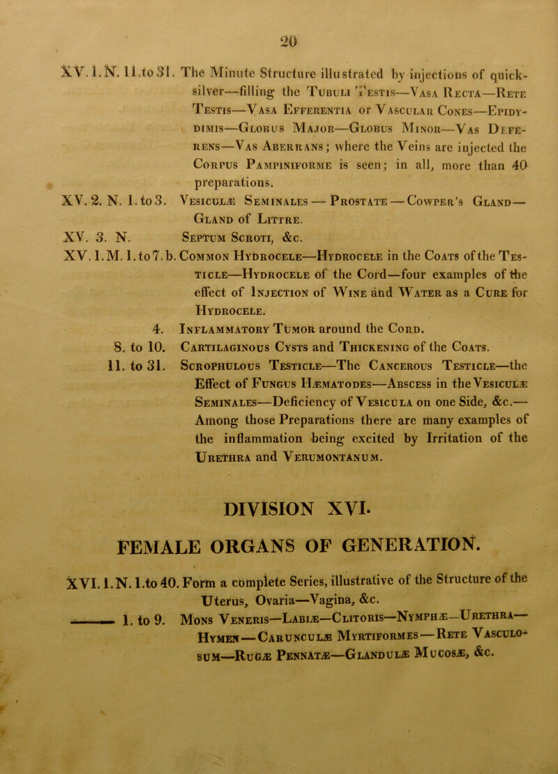 .i.N. 11.to31. 1 he Minute Structure illustrated by injections of quick- silver—-filling the Tubuli Testis—Vasa Recta—Rete Testis—Vasa Efferentia of Vascular Cones—Epidy- dimis—Globus Major—Globus Minor—Vas Defe- rens—Vas Arerrans; where the Veins are injected the Corpus Pampiniforme is seen; in all, more than 40 - preparations. XV. 2. N. 1. to3. Vesicul® Seminales — Prostate — Cowper’s Gland— Gland of Littre. XV. 3. N. Septum Scroti, &c. XV. l.M. l.to7.b. Common Hydrocele—Hydrocele in the Coats of the Tes- ticle—Hydrocele of the Cord—four examples of the effect of Injection of Wine and Water as a Cure for Hydrocele. 4. Inflammatory TOmor around the Cord. 8. to 10. Cartilaginous Cysts and Thickening of the Coats. 11. to 31. Scrophulous Testicle—The Cancerous Testicle—the Effect of Fungus Hagmatodes—Abscess in the Vesicul® Seminales—Deficiency of Vesicula on one Side, &c.— Among those Preparations there are many examples of the inflammation being excited by Irritation of the Urethra and Verumontanum. division xvi. female organs of generation. ■s. • XVI. 1. N. l.to 40. Form a complete Series, illustrative of the Structure of the Uterus, Ovaria—Vagina, &c. - - 1. to 9. Mons Veneris—Labi®—Clitoris—Nympho—Urethra Hymen—Caruncul® Myrtiformes—Rete Vasculo- sum—Rug.® Pennat®—Glandul® Mucos®, &c.
