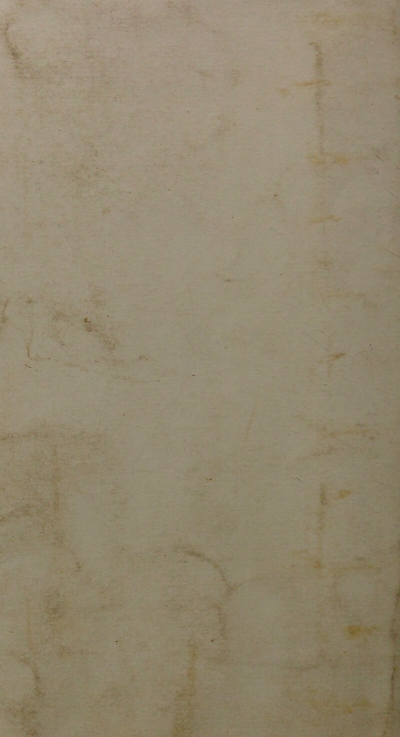 ¥ .4 L. *Ti . - ' V. y ’v h ^ r • W;