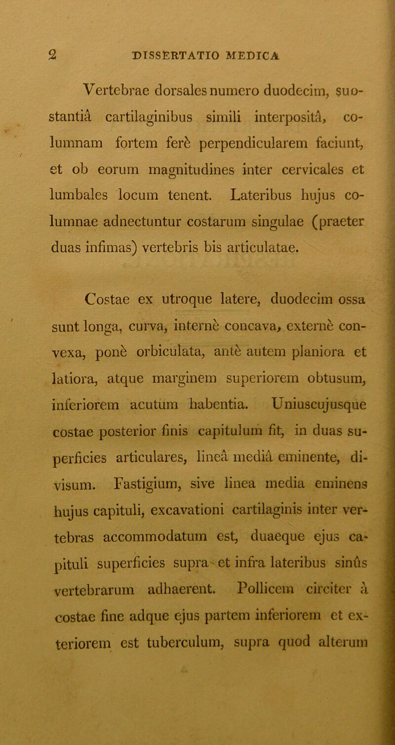 Vertebrae dorsales numero duodecim, $uo- stantiA cartilaginibus simili interpositi, co- lumnam fortem ferb perpendicularem faciunt, et ob eorum magnitudines inter cervicales et lumbales locum tenent. Lateribus hujus co- lumnae ad nectuntur costarum singulae (praeter duas infimas) vertebris bis articulatae. Costae ex utroque latere, duodecim ossa sunt longa, curva, internb concava, externi con- vexa, ponb orbiculata, antfe autem planiora et latiora, atque marginem superiorem obtusum, inferiorem acutum habentia. Uniuscujusque costae posterior finis capitulum fit, in duas su- perficies articulares, linea media eminente, di- visum. Fastigium, sive linea media eminens hujus capituli, excavationi cartilaginis inter ver- tebras accommodatum est, duaeque ejus ca- pituli superficies supra et infra lateribus sinus vertebrarum adhaerent. Pollicem circiter a costae fine adque ejus partem inferiorem et ex- teriorem est tuberculum, supra quod alterum