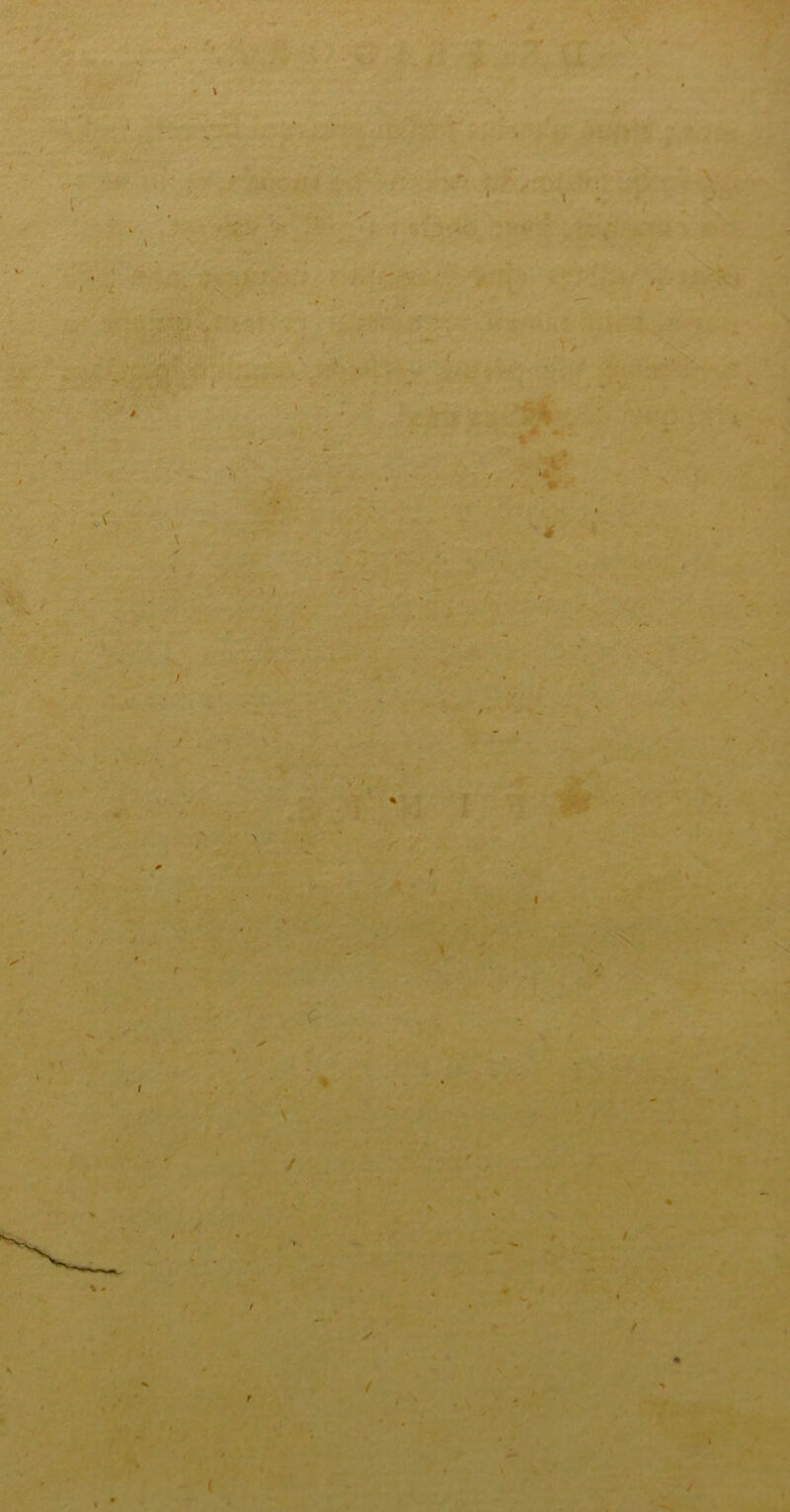 . ■» ?- .■i. . X i* w> S \ «• t / % * (