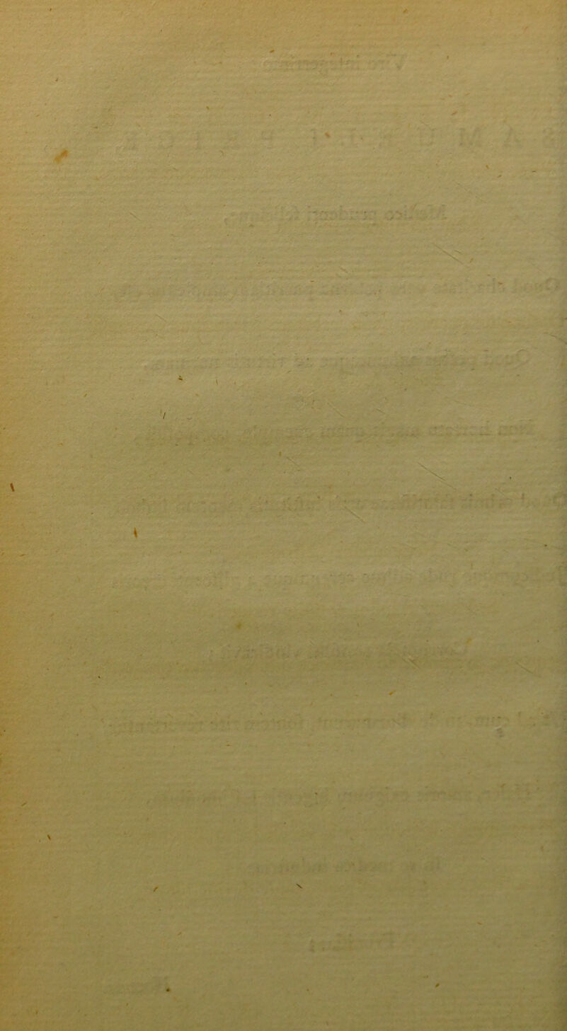 X' t-'*‘ “' > y*1 • l>*'«.VO* lyjLJSwW»'- ' ^ •». '■. » •Z’^... ' 4^^ * X V rfr-yt l i * i.VVZ-';: V :v , ‘ ■ • ■ • • • • ' L. ■ ^ . . i^1v.',-*i .n^- »'•'., < - •*_ '■ X - ' ■« , ^i.../.VI'' --•>*x'’-''•■'■:•' ‘r”^v'T'■ '-r “ wvafc^ 'Sf-s f; '■ itetf. ‘ /n 1. i, t V*. .V