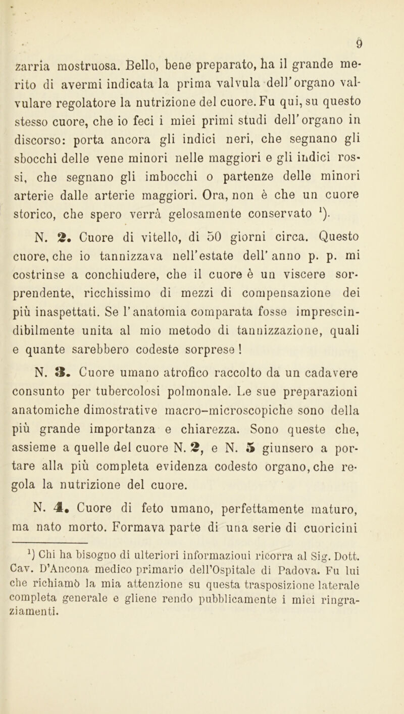 zarria mostruosa. Bello, bene preparato, ha il grande me- rito di avermi indicata la prima valvula dell'organo val- volare regolatore la nutrizione del cuore. Fu qui, su questo stesso cuore, che io feci i miei primi studi dell'organo in discorso: porta ancora gli indici neri, che segnano gli sbocchi delle vene minori nelle maggiori e gli indici ros- si, che segnano gli imbocchi o partenze delle minori arterie dalle arterie maggiori. Ora, non è che un cuore storico, che spero verrà gelosamente conservato *). N. 2» Cuore di vitello, di 50 giorni circa. Questo cuore, che io tannizzava nell’estate dell’anno p. p. mi costrinse a conchiudere, che il cuore è un viscere sor- prendente, ricchissimo di mezzi di compensazione dei più inaspettati. Se l’anatomia comparata fosse imprescin- dibilmente unita al mio metodo di tannizzazione, quali e quante sarebbero codeste sorprese ! N. S. Cuore umano atrofico raccolto da un cadavere consunto per tubercolosi polmonale. Le sue preparazioni anatomiche dimostrative macro-microscopiche sono della più grande importanza e chiarezza. Sono queste che, assieme a quelle del cuore N. 2, e N. 5 giunsero a por- tare alla più completa evidenza codesto organo, che re- gola la nutrizione del cuore. N. 4* Cuore di feto umano, perfettamente maturo, ma nato morto. Formava parte di una serie di cuoricini Chi ha bisogno di ulteriori informazioui ricorra al Sig. Dott. Cav. D’Ancona medico primario dell’Ospitale di Padova. Fu lui che richiamò la mia attenzione su questa trasposizione laterale completa generale e gliene rendo pubblicamente i miei ringra- ziamenti.