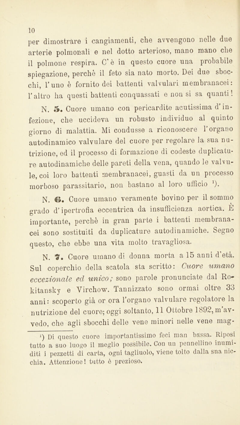 per dimostrare i cangiamenti, che avvengono nelle due arterie polmonali e nel dotto arterioso, mano mano che il polmone respira. C’ è in questo cuore una probabile spiegazione, perchè il feto sia nato morto. Dei due sboc- chi, l’uno è fornito dei battenti valvulari membranacei: l’altro ha questi battenti conquassati e non si sa quanti! N. 5. Cuore umano con pericardite acutissima d’in- fezione, che uccideva un robusto individuo al quinto o-iorno di malattia. Mi condusse a riconoscere l’organo D autodinamico valvulare del cuore per regolare la sua nu- trizione, ed il processo di formazione di codeste duplicatu- re autodinamiche delle pareti della vena, quando le valvu- le, coi loro battenti membranacei, guasti da un processo morboso parassitario, non bastano al loro ufficio '). N. €». Cuore umano veramente bovino per il sommo * grado d’ipertrofia eccentrica da insufficienza aortica. E importante, perche in gran parte i battenti membrana- cei sono sostituiti da duplicature autodinamiche. Segno questo, che ebbe una vita molto travagliosa. N. V. Cuore umano di donna morta a 15 anni d’età. Sul coperchio della scatola sta scritto: Cuore umano eccezionale ed unico; sono parole pronunciate dal Ro- kitansky e Virchow. Tannizzato sono ormai oltre 33 anni: scoperto già or ora l'organo valvulare regolatore la nutrizione del cuore; oggi soltanto, 11 Ottobre 1892, m av- vedo, che agli sbocchi delle vene minori nelle vene mag- J) oi questo cuore importantissimo feci man bassa. Riposi tutto a suo luogo il meglio possibile. Con un pennellino inumi- diti i pezzetti di carta, ogni tagliuolo, viene tolto dalla sua nic- chia. Attenzione! tutto è prezioso.