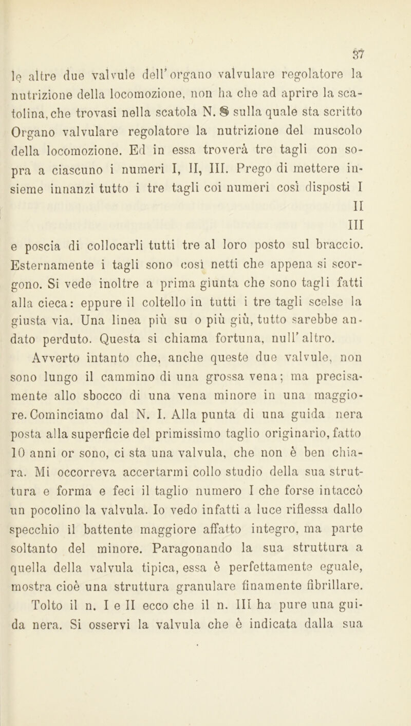 le altre due valvule dell’organo valvulare regolatore la nutrizione della locomozione, non ha che ad aprire la sca- tolina, che trovasi nella scatola N. § sulla quale sta scritto Organo valvulare regolatore la nutrizione del muscolo della locomozione. Ed in essa troverà tre tagli con so- pra a ciascuno i numeri I, li, III. Prego di mettere in- sieme innanzi tutto i tre tagli coi numeri così disposti I li III e poscia di collocarli tutti tre al loro posto sul braccio. Esternamente i tagli sono cosi netti che appena si scor- gono. Si vede inoltre a prima giunta che sono tagli fatti alla cieca: eppure il coltello in tutti i tre tagli scelse la giusta via. Una linea più su o più giù, tutto sarebbe an- dato perduto. Questa si chiama fortuna, nuli’altro. Avverto intanto che, anche queste due valvule, non sono lungo il cammino di una grossa vena; ma precisa- mente allo sbocco di una vena minore in una maggio- re. Cominciamo dal N. I. Alla punta di una guida nera posta alla superficie del primissimo taglio originario, fatto IO anni or sono, ci sta una valvula, che non è ben chia- ra. Mi occorreva accertarmi collo studio della sua strut- tura e forma e feci il taglio numero I che forse intaccò un pocolino la valvula. Io vedo infatti a luce riflessa dallo specchio il battente maggiore affatto integro, ma parte soltanto del minore. Paragonando la sua struttura a quella della valvula tipica, essa è perfettamente eguale, mostra cioè una struttura granulare finamente fibrillare. Tolto il n. I e II ecco che il n. Ili ha pure una gui- da nera. Si osservi la valvula che è indicata dalla sua