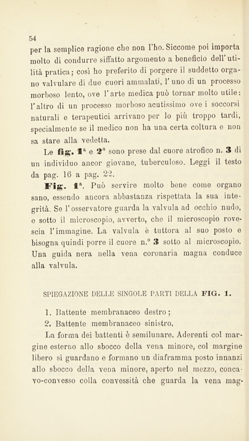 per la semplice ragione che non lho. Siccome poi importa molto di condurre siffatto argomento a beneficio dell'uti- lità pratica; così ho preferito di porgere il suddetto orga- no valvulare di due cuori ammalati, l’uno di un processo morboso lento, ove l’arte medica può tornar molto utile: l’altro di un processo morboso acutissimo ove i soccorsi naturali e terapeutici arrivano per lo più troppo tardi, specialmente se il medico non ha una certa coltura e non sa stare alla vedetta. Le Hai*;. f a e 2a sono prese dal cuore atrofico n. 3 di un individuo ancor giovane, tubercoloso. Leggi il testo da pag. 16 a pag. 22. Fi ta. Può servire molto bene come organo sano, essendo ancora abbastanza rispettata la sua inte- grità. Se l’osservatore guarda la valvula ad occhio nudo, e sotto il microscopio, avverto, che il microscopio rove- scia l’immagine. La valvula è tuttora al suo posto e bisogna quindi porre il cuore n.° 3 sotto al microscopio. Una guida nera nella vena coronaria magna conduce alla valvula. SPIEGAZIONE DELLE SINGOLE PARTI DELLA FIG. 1. 1. Battente membranaceo destro; 2. Battente membranaceo sinistro. La forma dei battenti è semilunare. Aderenti col mar- gine esterno allo sbocco della vena minore, col margine libero si guardano e formano un diaframma posto innanzi allo sbocco della vena minore, aperto nel mezzo, conca- vo-convesso colla convessità che guarda la vena mag-
