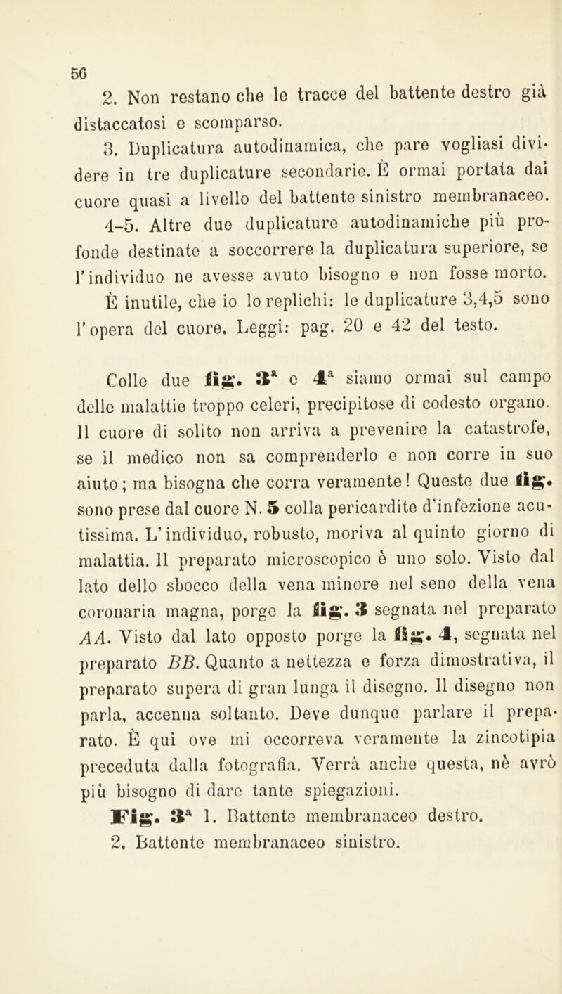 2. Non restano che le tracce del battente destro già distaccatosi e scomparso. 3. Duplicatura autodinamica, che pare vogliasi divi- dere in tre duplicature secondarie. È ormai portata dal cuore quasi a livello del battente sinistro membranaceo. 4-5. Altre due duplicature autodinamiche più pro- fonde destinate a soccorrere la duplicatura superiore, se rindividuo ne avesse avuto bisogno e non fosse morto. È inutile, che io lo replichi: le duplicature 3,4,5 sono l’opera del cuore. Leggi: pag. 20 e 42 del testo. Colle due 3a e 4a siamo ormai sul campo delle malattie troppo celeri, precipitose di codesto organo. 11 cuore di solito non arriva a prevenire la catastrofe, se il medico non sa comprenderlo e non corre in suo aiuto ; ma bisogna che corra veramente ! Queste due 4ig* sono prese dal cuore N. 5 colla pericardite d'infezione acu- tissima. L’individuo, robusto, moriva al quinto giorno di malattia. 11 preparato microscopico è uno solo. Visto dal lato dello sbocco della vena minore nel seno della vena coronaria magna, porge la £ig. 3 segnata nel preparato AA. Visto dal lato opposto porge la 4, segnata nel preparato BB. Quanto a nettezza e forza dimostrativa, il preparato supera di gran lunga il disegno. 11 disegno non parla, accenna soltanto. Deve dunque parlare il prepa- rato. È qui ove mi occorreva veramente la zincotlpia preceduta dalla fotografia. Verrà anche questa, nè avrò più bisogno di dare tante spiegazioni. Ifig*. &a 1. Battente membranaceo destro. 2. Battente membranaceo sinistro.
