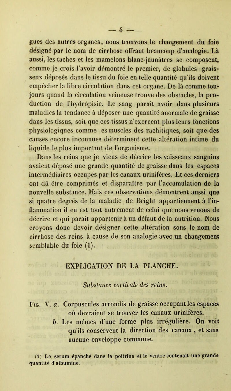 gués des autres organes, nous trouvons le changement du foie désigné par le nom de cirrhose offrant beaucoup d’analogie. Là aussi, les taches et les mamelons blanc-jaunâtres se composent, comme je crois l’avoir démontré le premier, de globules grais- seux déposés dans le tissu du foie en telle quantité qu’ils doivent empêcher la libre circulation dans cet organe. De là comme tou- jours quand la circulation veineuse trouve des obstacles, la pro- duction de l’hydropisie. Le sang paraît avoir dans plusieurs maladies la tendance à déposer une quantité anormale de graisse dans les tissus, soit que ces tissus n’exercent plus leurs fonctions physiologiques comme es muscles des rachitiques, soit que des causes encore inconnues déterminent cette altération intime du liquide le plus important de l’organisme. Dans les reins que je viens de décrire les vaisseaux sanguins avaient déposé une grande quantité de graisse dans les espaces intermediaires occupés par les canaux urinifères. Et ces derniers ont dû être comprimés et disparaître par l’accumulation de la nouvelle substance. Mais ces observations démontrent aussi que si quatre degrés de la maladie de Bright appartiennent à l’in- flammation il en est tout autrement de celui que nous venons de décrire et qui parait appartenir à un défaut de la nutrition. Nous croyons donc devoir désigner celte altération sous le nom de cirrhose des reins à cause de son analogie avec un changement semblable du foie (1). EXPLICATION DE LA PLANCHE. Substance corticale des reins. Fig. V. a. Corpuscules arrondis de graisse occupant les espaces où devraient se trouver les canaux urinifères. b. Les mêmes d’une forme plus irrégulière. On voit qu’ils conservent la direction des canaux , et sans aucune enveloppe commune. (1) Le sérum épanché dans la poitrine et le ventre contenait une grande cpianlité d'albumine.