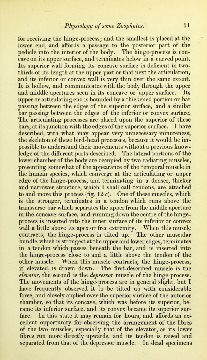 for receiving the hinge-process; and the smallest is placed at the lower end, and affords a passage to the posterior part of the pedicle into the interior of the body. The hinge-process is con- cave on its upper surface, and terminates below in a curved point. Its superior wall forming its concave surface is deficient in two- thirds of its length at the upper part or that next the articulation, and its inferior or convex wall is very thin over the same extent. It is hollow, and communicates with the body through the upper and middle apertures seen in its concave or upper surface. Its upper or articulating end is bounded by a thickened portion or bar passing between the edges of the superior surface, and a similar bar passing between the edges of the inferior or convex surface. The articulating processes are placed upon the superior of these bars, at its junction with the edges of the superior surface. I have described, with what may appear very unnecessary minuteness, the skeleton of these bird-head processes, because it would be im- possible to understand their movements without a previous know- ledge of the different parts described. The lateral portions of the lower chamber of the body are occupied by two radiating muscles, presenting somewhat of the appearance of the temporal muscle in the human species, which converge at the articulating or upper edge of the hinge-process, and terminating in a denser, thicker and nan’ower structure, which I shall call tendons, are attached to and move this process (fig. 12 c). One of these muscles, which is the stronger, terminates in a tendon which runs above the transverse bar which separates the upper from the middle aperture in the concave surface, and running down the centre of the hinge- process is inserted into the inner surface of its inferior or convex wall a little above its apex or free extremity. When this muscle contracts, the hinge-process is tilted up. The other muscular bundle, which is strongest at the upper and lower edges, terminates in a tendon which passes beneath the bar, and is inserted into the hinge-process close to and a little above the tendon of the other muscle. When this muscle contracts, the hinge-process, if elevated, is drawn down. The first-described muscle is the elevator, the second is the depressor muscle of the hinge-process. The movements of the hinge-process are in general slight, but I have frequently observed it to be tilted up with considerable force, and closely applied over the superior surface of the anterior chambei’, so that its concave, which was before its superior, be- came its inferior surface, and its convex became its superior sur- face. In this state it may remain for hours, and affords an ex- cellent opportunity for observing the arrangement of the fibres of the two muscles, especially that of the elevator, as its lower fibres run more directly upwards, and its tendon is raised and separated from that of the depressor muscle. In dead specimens