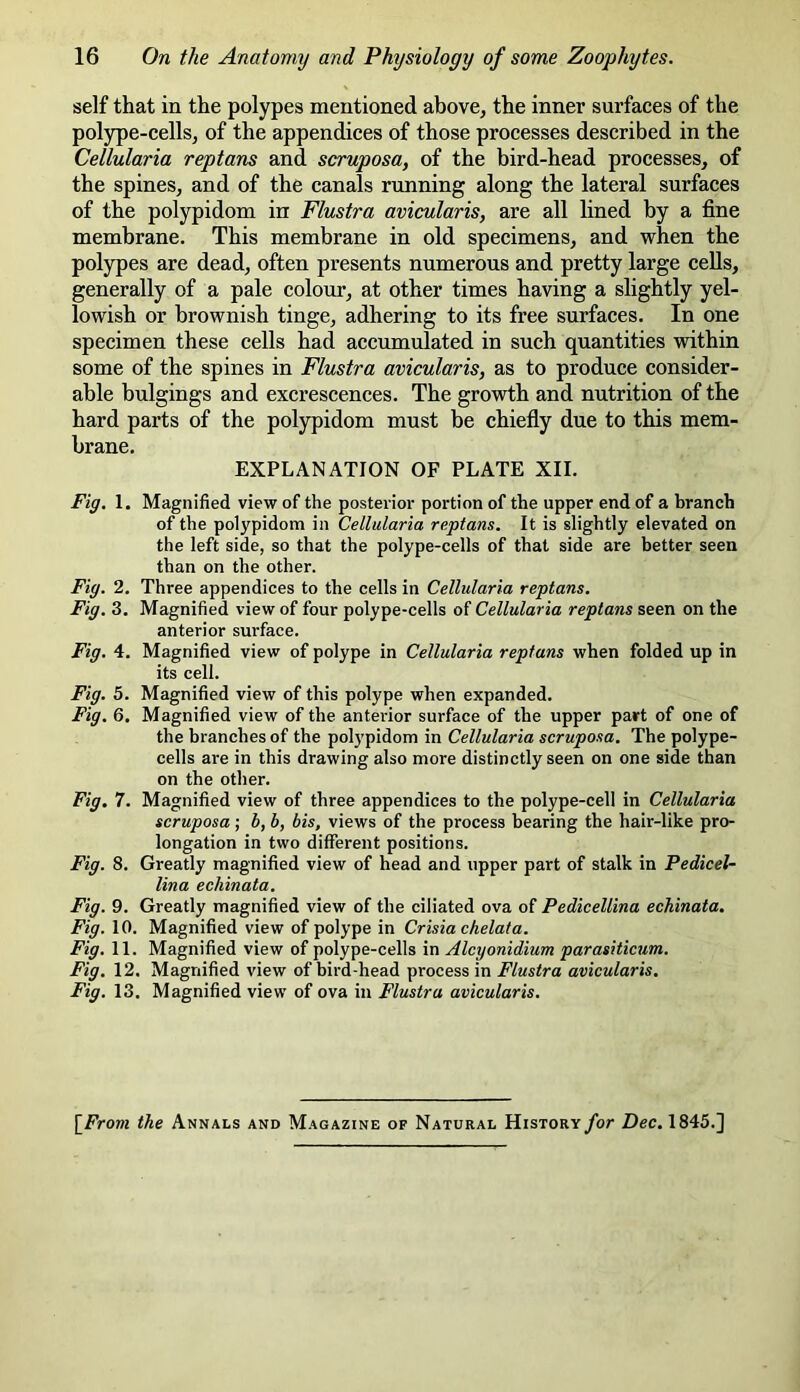 self that in the polypes mentioned above, the inner surfaces of the polype-cells, of the appendices of those processes described in the Cellularia reptans and scruposa, of the bird-head processes, of the spines, and of the canals running along the lateral surfaces of the polypidom in Flustra avicularis, are all lined by a fine membrane. This membrane in old specimens, and when the polypes are dead, often presents numerous and pretty large cells, generally of a pale colour, at other times having a slightly yel- lowish or brownish tinge, adhering to its free surfaces. In one specimen these cells had accumulated in such quantities within some of the spines in Flustra avicularis, as to produce consider- able bulgings and excrescences. The growth and nutrition of the hard parts of the polypidom must be chiefly due to this mem- l)rEnc EXPLANATION OF PLATE XII. Fig. 1. Magnified view of the posterior portion of the upper end of a branch of the polypidom in Cellularia reptans. It is slightly elevated on the left side, so that the polype-cells of that side are better seen than on the other. Fig. 2. Three appendices to the cells in Cellularia reptans. Fig. 3. Magnified view of four polype-cells of Cellularia reptans seen on the anterior surface. Fig. 4. Magnified view of polype in Cellularia reptans when folded up in its cell. Fig. 5. Magnified view of this polype when expanded. Fig. 6. Magnified view of the anterior surface of the upper part of one of the branches of the polypidom in Cellularia scruposa. The polype- cells are in this drawing also more distinctly seen on one side than on the other. Fig. 7. Magnified view of three appendices to the polype-cell in Cellularia scruposa; b, b, bis, views of the process bearing the hair-like pro- longation in two different positions. Fig. 8. Greatly magnified view of head and upper part of stalk in Pedicel- lina ecliinata. Fig. 9. Greatly magnified view of the ciliated ova of Pedicellina echinata. Fig. 10. Magnified view of polype in Crisia chelata. Fig. 11. Magnified view of polype-cells in Alcyonidium parasiticum. Fig. 12. Magnified view of bird-head process in Flustra avicularis. Fig. 13. Magnified view of ova in Flustra avicularis. [From the Annals and Magazine of Natural History for Dec. 1845.]