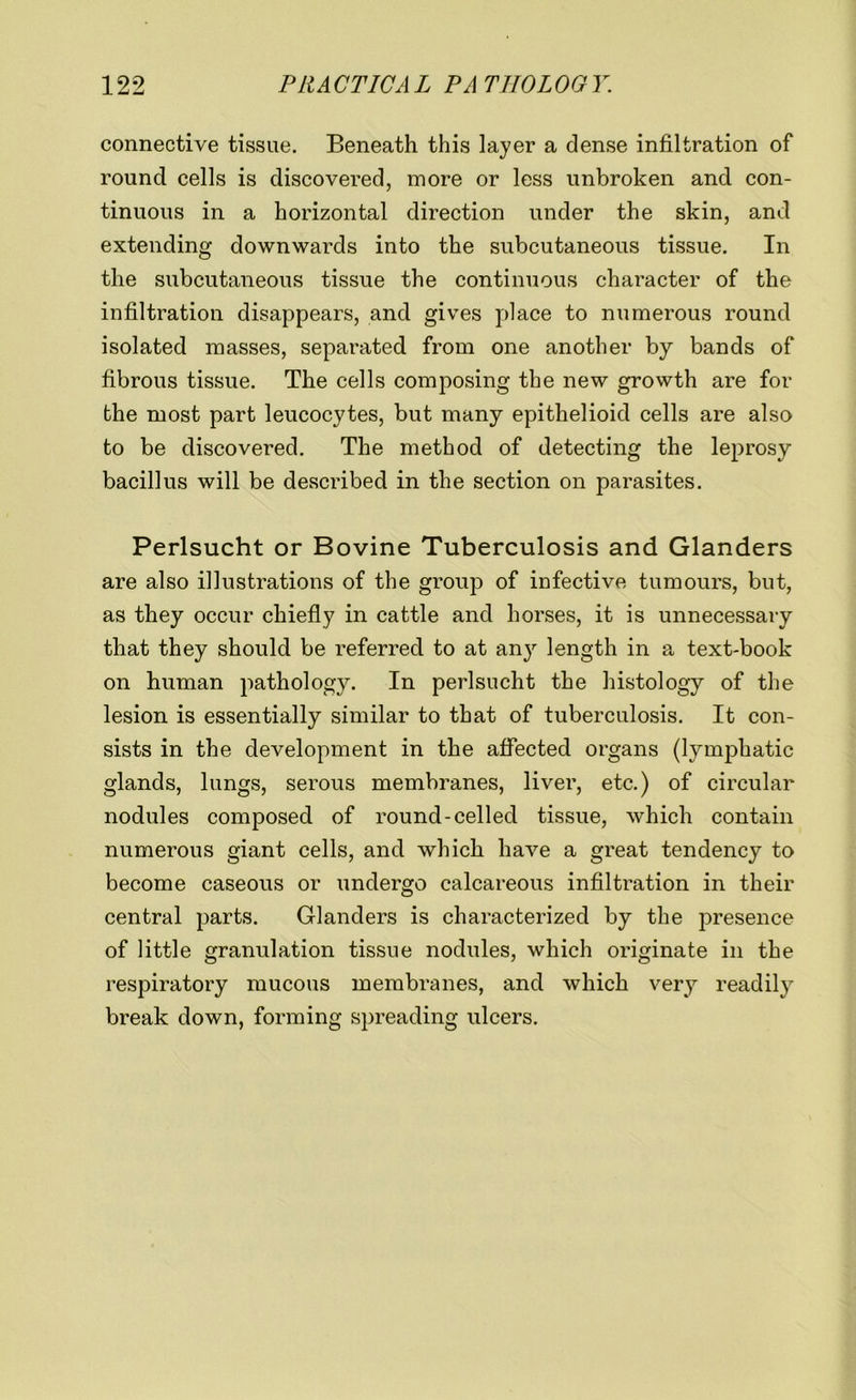 connective tissue. Beneath this layer a dense infiltration of round cells is discovered, more or less unbroken and con- tinuous in a horizontal direction under the skin, and extending downwards into the subcutaneous tissue. In the subcutaneous tissue the continuous character of the infiltration disappears, and gives place to numerous round isolated masses, separated from one another by bands of fibrous tissue. The cells composing the new growth are for the most part leucocytes, but many epithelioid cells are also to be discovered. The method of detecting the leprosy- bacillus will be described in the section on parasites. Perlsucht or Bovine Tuberculosis and Glanders are also illustrations of the group of infective tumours, but, as they occur chiefly in cattle and horses, it is unnecessary that they should be referred to at any length in a text-book on human pathology. In perlsucht the histology of the lesion is essentially similar to that of tuberculosis. It con- sists in the development in the affected organs (lymphatic glands, lungs, serous membranes, liver, etc.) of circular nodules composed of round-celled tissue, which contain numerous giant cells, and which have a great tendency to become caseous or undergo calcareous infiltration in their central parts. Glanders is characterized by the presence of little granulation tissue nodules, which originate in the respiratory mucous membranes, and which very readily break down, forming spreading ulcers.