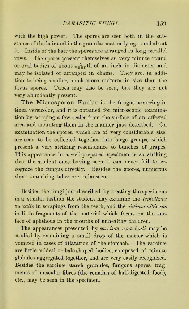 with the high power. The spores are seen both in the sub- stance of the hair and in the granular matter lying round about it. Inside of the hair the spores are arranged in long parallel rows. The spores present themselves as very minute round or oval bodies of about T^^th of an inch in diameter, and may be isolated or arranged in chains. They are, in addi- tion to being smaller, much more uniform in size than the favus spores. Tubes may also be seen, but they are not very abundantly present. The Microsporon Furfur is the fungus occurring in tinea versicolor, and it is obtained for microscopic examina- tion by scraping a few scales from the surface of an affected area and mounting them in the manner just described. On examination the spores, which are of very considerable size, are seen to be collected together into large groups, which present a very striking resemblance to bunches of grapes. This appearance in a well-prepared specimen is so striking that the student once having seen it can never fail to re- cognize the fungus directly. Besides the spores, numerous short branching tubes are to be seen. Besides the fungi just described, by treating the specimens in a similar fashion the student may examine the leptothrix buccalis in scrapings from the teeth, and the oidium albicans in little fragments of the material which forms on the sur- face of aphthous in the mouths of unhealthy children. The appearances presented by sarcince ventriculi may be studied by examining a small drop of the matter which is vomited in cases of dilatation of the stomach. The sarcinse are little cubical or bale-shaped bodies, composed of minute globules aggregated together, and are very easily recognized. Besides the sarcinse starch granules, fungous spores, frag- ments of muscular fibres (the remains of half-digested food), etc., may be seen in the specimen.