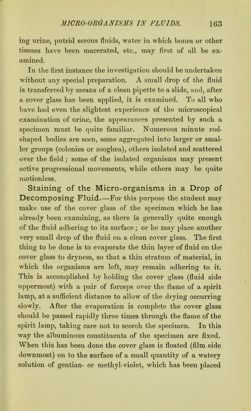 ing urine, putrid serous fluids, water in which bones or other tissues have been macerated, etc., may first of all be ex- amined. In the first instance the investigation should be undertaken without any special preparation. A small drop of the fluid is transferred by means of a clean pipette to a slide, and, after a cover glass has been applied, it is examined. To all who have had even the slightest experience of the microscopical examination of urine, the appearances presented by such a specimen must be quite familiar. Numerous minute rod- shaped bodies are seen, some aggregated into larger or smal- ler groups (colonies or zoogloea), others isolated and scattered over the field; some of the isolated organisms may present active progressional movements, while others may be quite motionless. Staining of the Micro-organisms in a Drop of Decomposing Fluid.—For this purpose the student may make use of the cover glass of the specimen which he has already been examining, as there is generally quite enough of the fluid adhering to its surface; or he may place another very small drop of the fluid on a clean cover glass. The first thing to be done is to evaporate the thin layer of fluid on the cover glass to dryness, so that a thin stratum of material, in which the organisms are left, may remain adhering to it. This is accomplished by holding the cover glass (fluid side uppermost) with a pair of forceps over the flame of a spirit lamp, at a sufficient distance to allow of the drying occurring slowly. After the evaporation is complete the cover glass should be passed rapidly three times through the flame of the spirit lamp, taking care not to scorch the specimen. In this way the albuminous constituents of the specimen are fixed. When this has been done the cover glass is floated (film side downmost) on to the surface of a small quantity of a watery solution of gentian- or methyl-violet, which has been placed