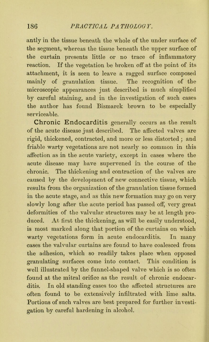 antly in the tissue beneath the whole of the under surface of the segment, whereas the tissue beneath the upper surface of the curtain presents little or no trace of inflammatory reaction. If the vegetation be broken off at the point of its attachment, it is seen to leave a ragged surface composed mainly of granulation tissue. The recognition of the microscopic appearances just described is much simplified by careful staining, and in the investigation of such cases the author has found Bismarck brown to be especially serviceable. Chronic Kndocarditis generally occurs as the result of the acute disease just described. The affected valves are rigid, thickened, contracted, and more or less distorted; and friable warty vegetations are not nearly so common in this affection as in the acute variety, except in cases where the acute disease may have supervened in the course of the chronic. The thickening and contraction of the valves are caused by the development of new connective tissue, which results from the organization of the granulation tissue formed in the acute stage, and as this new formation may go on very slowly long after the acute period has passed off, very great deformities of the valvular structures may be at length pro- duced. At first the thickening, as will be easily understood, is most marked along that portion of the curtains on which warty vegetations form in acute endocarditis. In many cases the valvular curtains are found to have coalesced from the adhesion, which so readily takes place when opposed granulating surfaces come into contact. This condition is well illustrated by the funnel-shaped valve which is so often found at the mitral orifice as the result of chronic endocar- ditis. In old standing cases too the affected structures are often found to be extensively infiltrated with lime salts. Portions of such valves are best prepared for further investi- gation by careful hardening in alcohol.