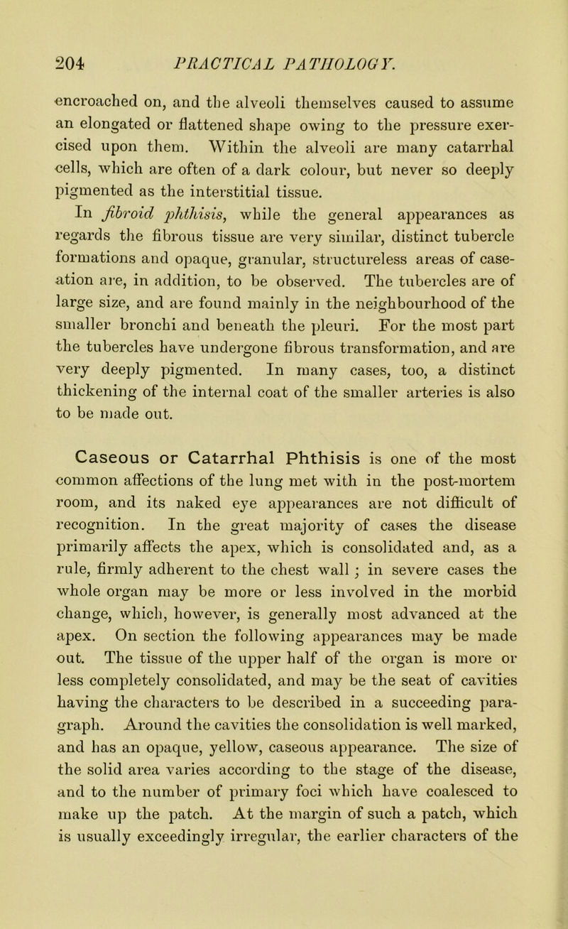 encroached on, and the alveoli themselves caused to assume an elongated or flattened shape owing to the pressure exer- cised upon them. Within the alveoli are many catarrhal oells, which are often of a dark colour, but never so deeply pigmented as the interstitial tissue. In fibroid phthisis, while the general appearances as regards the fibrous tissue are very similar, distinct tubercle formations and opaque, granular, structureless areas of case- ation are, in addition, to be observed. The tubercles are of large size, and are found mainly in the neighbourhood of the smaller bronchi and beneath the pleuri. For the most part the tubercles have undergone fibrous transformation, and are very deeply pigmented. In many cases, too, a distinct thickening of the internal coat of the smaller arteries is also to be made out. Caseous or Catarrhal Phthisis is one of the most common affections of the lung met with in the post-mortem room, and its naked eye appearances are not difficult of recognition. In the great majority of cases the disease primarily affects the apex, which is consolidated and, as a rule, firmly adherent to the chest wall ; in severe cases the whole organ may be more or less involved in the morbid change, which, however, is generally most advanced at the apex. On section the following appearances may be made out. The tissue of the upper half of the organ is more or less completely consolidated, and may be the seat of cavities having the characters to be described in a succeeding para- graph. Around the cavities the consolidation is well marked, and has an opaque, yellow, caseous appearance. The size of the solid area varies according to the stage of the disease, and to the number of primary foci which have coalesced to make up the patch. At the margin of such a patch, which is usually exceedingly irregular, the earlier characters of the