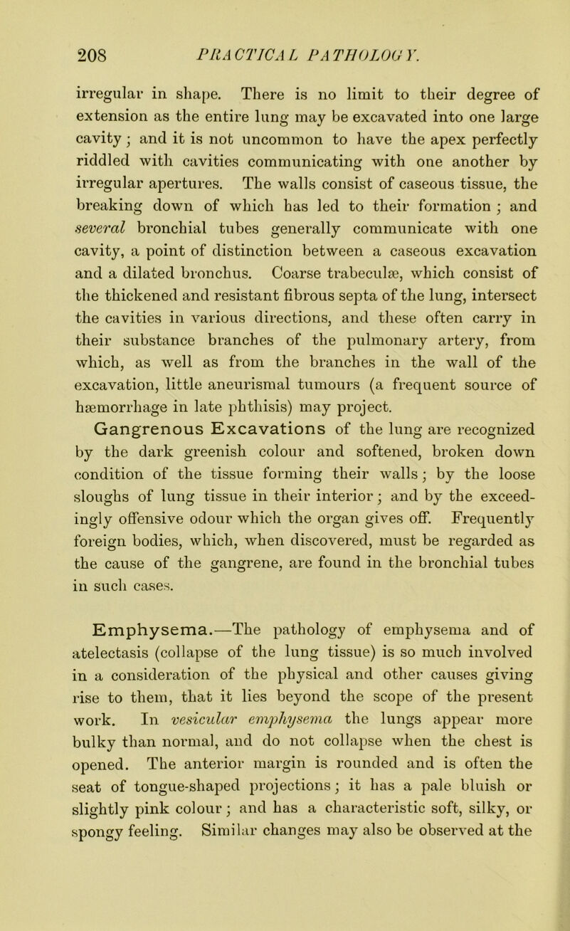 irregular in shape. There is no limit to their degree of extension as the entire lung may be excavated into one large cavity ; and it is not uncommon to have the apex perfectly riddled with cavities communicating with one another by irregular apertures. The walls consist of caseous tissue, the breaking down of which has led to their formation ; and several bronchial tubes generally communicate with one cavity, a point of distinction between a caseous excavation and a dilated bronchus. Coarse trabeculse, which consist of the thickened and resistant fibrous septa of the lung, intersect the cavities in various directions, and these often carry in their substance branches of the pulmonary artery, from which, as well as from the branches in the wall of the excavation, little aneurismal tumours (a frequent source of haemorrhage in late phthisis) may project. Gangrenous Excavations of the lung are recognized by the dark greenish colour and softened, broken down condition of the tissue forming their walls; by the loose sloughs of lung tissue in their interior; and by the exceed- ingly offensive odour which the organ gives off. Frequently foreign bodies, which, when discovered, must be regarded as the cause of the gangrene, are found in the bronchial tubes in such cases. Emphysema.—The pathology of emphysema and of atelectasis (collapse of the lung tissue) is so much involved in a consideration of the physical and other causes giving rise to them, that it lies beyond the scope of the present work. In vesicular emphysema the lungs appear more bulky than normal, and do not collapse when the chest is opened. The anterior margin is rounded and is often the seat of tongue-shaped projections; it has a pale bluish or slightly pink colour; and has a characteristic soft, silky, or spongy feeling. Similar changes may also be observed at the
