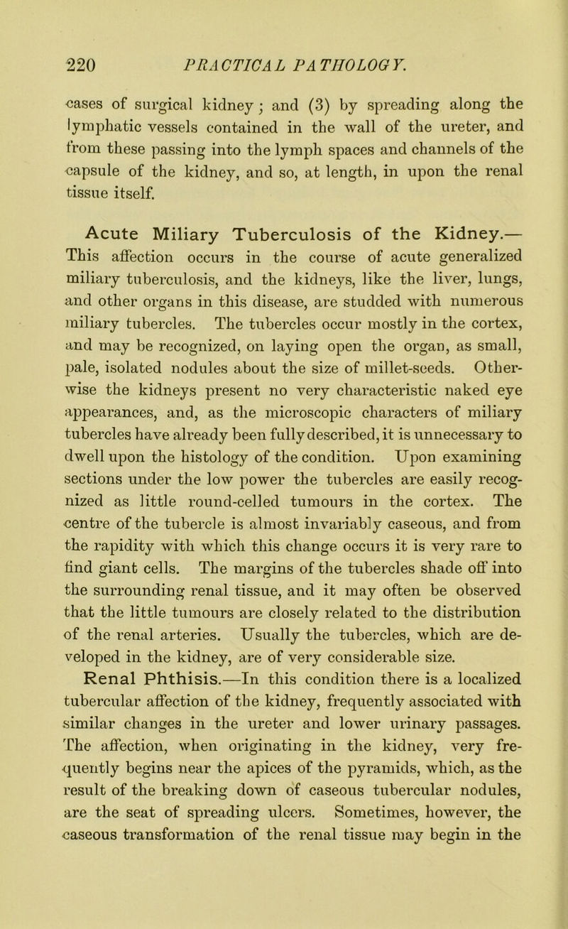 cases of surgical kidney; and (3) by spreading along the lymphatic vessels contained in the wall of the ureter, and from these passing into the lymph spaces and channels of the capsule of the kidney, and so, at length, in upon the renal tissue itself. Acute Miliary Tuberculosis of the Kidney.— This affection occurs in the course of acute generalized miliary tuberculosis, and the kidneys, like the liver, lungs, and other organs in this disease, are studded with numerous miliary tubercles. The tubercles occur mostly in the cortex, and may be recognized, on laying open the organ, as small, pale, isolated nodules about the size of millet-seeds. Other- wise the kidneys present no very characteristic naked eye appearances, and, as the microscopic characters of miliary tubercles have already been fully described, it is unnecessary to dwell upon the histology of the condition. Upon examining sections under the low power the tubercles are easily recog- nized as little round-celled tumours in the cortex. The centre of the tubercle is almost invariably caseous, and from the rapidity with which this change occurs it is very rare to find giant cells. The margins of the tubercles shade off into the surrounding renal tissue, and it may often be observed that the little tumours are closely related to the distribution of the renal arteries. Usually the tubercles, which are de- veloped in the kidney, are of very considerable size. Renal Phthisis.—In this condition there is a localized tubercular affection of the kidney, frequently associated with similar changes in the ureter and lower urinary passages. The affection, when originating in the kidney, very fre- quently begins near the apices of the pyramids, which, as the result of the breaking down of caseous tubercular nodules, are the seat of spreading ulcers. Sometimes, however, the caseous transformation of the renal tissue may begin in the