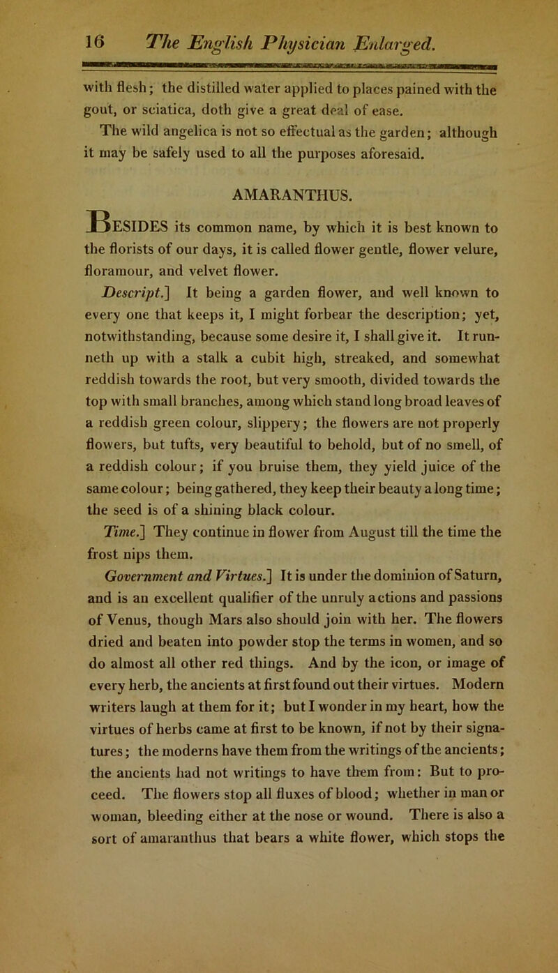 w—mam1 w rT—wwMiyiiCTfr ■aEPfcar.Aaca* ■» -£»■-«»>- -va^zMHPWBgaoB with flesh; the distilled water applied to places pained with the gout, or sciatica, doth give a great deal of ease. The wild angelica is not so effectual as the garden; although it may be safely used to all the purposes aforesaid. AMARANTHUS. Besides its common name, by which it is best known to the florists of our days, it is called flower gentle, flower velure, floramour, and velvet flower. Descript.] It being a garden flower, and well known to every one that keeps it, I might forbear the description; yet, notwithstanding, because some desire it, I shall give it. It run- neth up with a stalk a cubit high, streaked, and somewhat reddish towards the root, but very smooth, divided towards the top with small branches, among which stand long broad leaves of a reddish green colour, slippery; the flowers are not properly flowers, but tufts, very beautiful to behold, but of no smell, of a reddish colour; if you bruise them, they yield juice of the same colour; being gathered, they keep their beauty a long time; the seed is of a shining black colour. Time.] They continue in flower from August till the time the frost nips them. Government and Virtues.] It is under the dominion of Saturn, and is an excellent qualifier of the unruly actions and passions of Venus, though Mars also should join with her. The flowers dried and beaten into powder stop the terms in women, and so do almost all other red things. And by the icon, or image of every herb, the ancients at first found out their virtues. Modern writers laugh at them for it; but I wonder in my heart, how the virtues of herbs came at first to be known, if not by their signa- tures ; the moderns have them from the writings of the ancients; the ancients had not writings to have them from: But to pro- ceed. The flowers stop all fluxes of blood; whether in man or woman, bleeding either at the nose or wound. There is also a sort of amaranthus that bears a white flower, which stops the