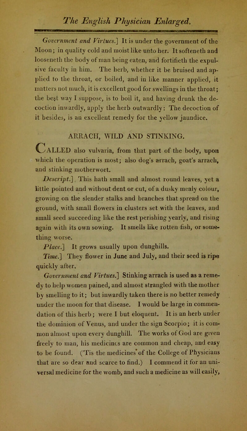 Government and Virtues.] It is under the government of the Moon; in quality cold and moist like unto her. It softeneth and looseneth the body of man being eaten, and fortifieth the expul- sive faculty in him. The herb, whether it be bruised and ap- plied to the throat, or boiled, and in like manner applied, it matters not much, it is excellent good for swellings in the throat; the best way I suppose, is to boil it, and having drunk the de- coction inwardly, apply the herb outwardly: The decoction of it besides, is an excellent remedy for the yellow jaundice. ARRACH, WILD AND STINKING. Called also vulvaria, from that part of the body, upon which the operation is most; also dog’s arrach, goat’s arrach, and stinking motherwort. Descript.} This hath small and almost round leaves, yet a little pointed and without dent or cut, of a dusky mealy colour, growing on the slender stalks and branches that spread on the ground, with small flowers in clusters set with the leaves, and small seed succeeding like the rest perishing yearly, and rising again with its own sowing. It smells like rotten fish, or some- thing worse. Place.] It grows usually upon dunghills. Time.] They flower in June and July, and their seed is ripe quickly after. Government and Virtues.] Stinking arrach is used as a reme- dy to help women pained, and almost strangled with the mother by smelling to it; but inwardly taken there is no better remedy under the moon for that disease. I would be large in commen- dation of this herb; were I but eloquent. It is an herb under the dominion of Venus, and under the sign Scorpio; it is com- mon almost upon every dunghill. The works of God are given freely to man, his medicines are common and cheap, and easy to be found. (’Tis the medicines*of the College of Physicians that are so dear and scarce to find.) I commend it for an uni- versal medicine for the womb, and such a medicine as will easily.