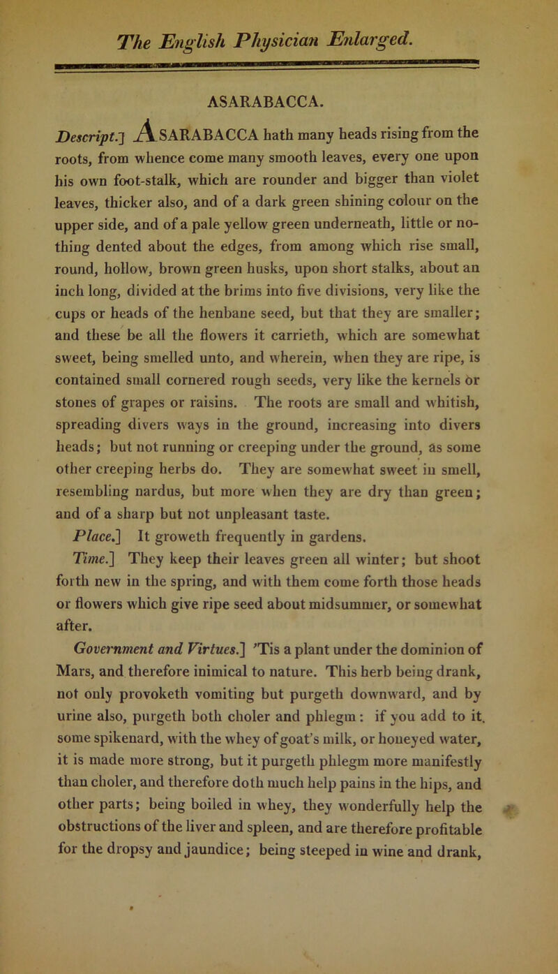 ASARABACCA. Descript.-] AsARABACCA hath many heads rising from the roots, from whence come many smooth leaves, every one upon his own foot-stalk, which are rounder and bigger than violet leaves, thicker also, and of a dark green shining colour on the upper side, and of a pale yellow green underneath, little or no- thing dented about the edges, from among which rise small, round, hollow, brown green husks, upon short stalks, about an inch long, divided at the brims into five divisions, very like the cups or heads of the henbane seed, but that they are smaller; and these be all the flowers it carrieth, which are somewhat sweet, being smelled unto, and wherein, when they are ripe, is contained small cornered rough seeds, very like the kernels or stones of grapes or raisins. The roots are small and whitish, spreading divers ways in the ground, increasing into divers heads; but not running or creeping under the ground, as some other creeping herbs do. They are somewhat sweet in smell, resembling nardus, but more when they are dry than green; and of a sharp but not unpleasant taste. Place.] It groweth frequently in gardens. Time.] They keep their leaves green all winter; but shoot forth new in the spring, and with them come forth those heads or flowers which give ripe seed about midsummer, or somewhat after. Government and Virtues.] 'Tis a plant under the dominion of Mars, and therefore inimical to nature. This herb being drank, not only provoketh vomiting but purgeth downward, and by urine also, purgeth both choler and phlegm: if you add to it. some spikenard, with the whey of goat’s milk, or honeyed water, it is made more strong, but it purgeth phlegm more manifestly than choler, and therefore doth much help pains in the hips, and other parts; being boiled in whey, they wonderfully help the obstructions of the liver and spleen, and are therefore profitable for the dropsy and jaundice; being steeped in wine and drank,