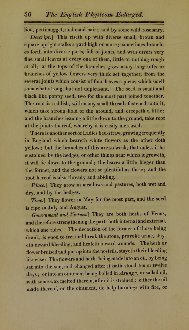 lion, pettimugget, aud maid-hair; and by some wild rosemary. Descript.] This riseth up with diverse small, brown and square upright stalks a yard high or more; sometimes branch- es forth into diverse parts, full of joints, and with divers very fine small leaves at every one of them, little or nothing rough at all; at the tops of the branches grow many long tufts or branches of yellow flowers very thick set together, from the several joints which consist of four leaves a-piece, which smell somewhat strong, but not unpleasant. The seed is smali and black like poppy seed, two for the most part joined together. The root is reddish, with many small threads fastened unto it, which take strong hold of the ground, and creepeth a little; and the branches leaning a little down to the ground, take root at the joints thereof, whereby it is easily increased. There is another sort of Ladies bed-straw, growing frequently in England which beareth white flowers as the other doth yellow; but the branches of this are so weak, that unless it be sustained by the hedges, or other things near which it groweth, it will lie down to the ground; the leaves a little bigger than the former, and the flowers not so plentiful as these; and the root hereof is also thready and abiding. Place.] They grow in meadows and pastures, both wet and dry, and by the hedges. Time.] They flower in May for the most part, and the seed is ripe in July and August. Government and Virtues.] They are both herbs of Venus, and therefore strengthening the parts both internal and external, which she rules. The decoction of the former of those being drank, is good to fret and break the stone, provoke urine, stay- eth inward bleeding, and healeth inw ard wounds. The herb or flow'er bruised and put up into the nostrils, stayeth their bleeding likewise: The flowers aud herbs being made into an oil, by being set into the sun, and changed after it hath stood ten or twelve days; or into an ointment being boiled in Arunga, or sallad oil, with some wax melted therein, after it is strained; either the oil made thereof, or the ointment, do help burnings with fire, or