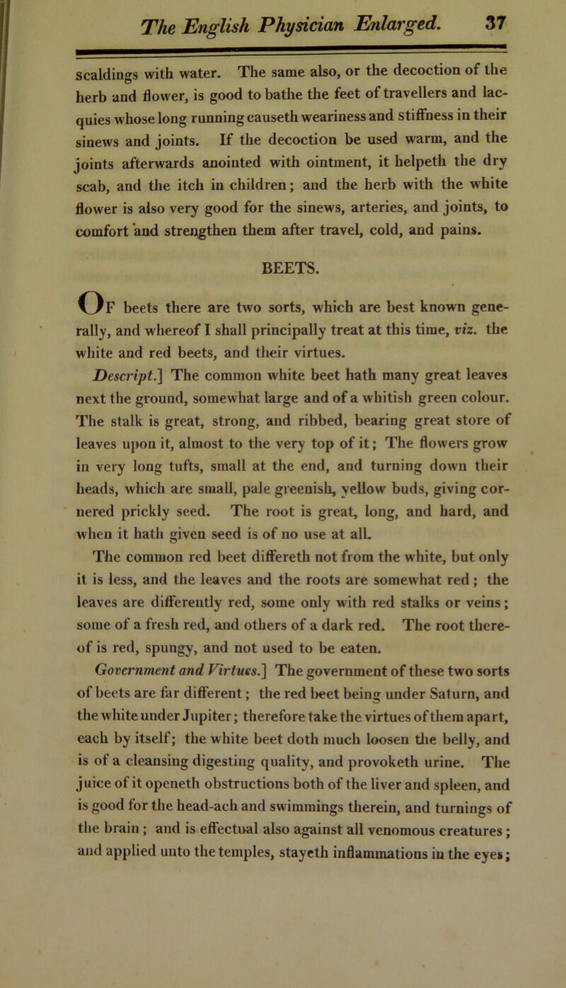 scaldings with water. The same also, or the decoction of the herb and flower, is good to bathe the feet of travellers and lac- quies whose long running causeth weariness and stiffness in their sinews and joints. If the decoction be used warm, and the joints afterwards anointed with ointment, it helpeth the dry scab, and the itch in children; and the herb with the white flower is also very good for the sinews, arteries, and joints, to comfort and strengthen them after travel, cold, and pains. BEETS. Of beets there are two sorts, which are best known gene- rally, and whereof I shall principally treat at this time, viz. the white and red beets, and their virtues. Descript.] The common white beet hath many great leaves next the ground, somewhat large and of a whitish green colour. The stalk is great, strong, and ribbed, bearing great store of leaves upon it, almost to the very top of it; The flowers grow in very long tufts, small at the end, and turning down their heads, which are small, pale greenish, yellow buds, giving cor- nered prickly seed. The root is great, long, and hard, and when it hath given seed is of no use at all. The common red beet differeth not from the white, but only it is less, and the leaves and the roots are somewhat red; the leaves are differently red, some only with red stalks or veins; some of a fresh red, and others of a dark red. The root there- of is red, spungy, and not used to be eaten. Government and Virtues.] The government of these two sorts of beets are far different; the red beet being under Saturn, and the white under Jupiter; therefore take the virtues of them apart, each by itself; the white beet doth much loosen the belly, and is of a cleansing digesting quality, and provoketh urine. The juice of it openeth obstructions both of the liver and spleen, and is good for the head-ach and swimmings therein, and turnings of the brain ; and is effectual also against all venomous creatures; and applied unto the temples, stayeth inflammations in the eyes;